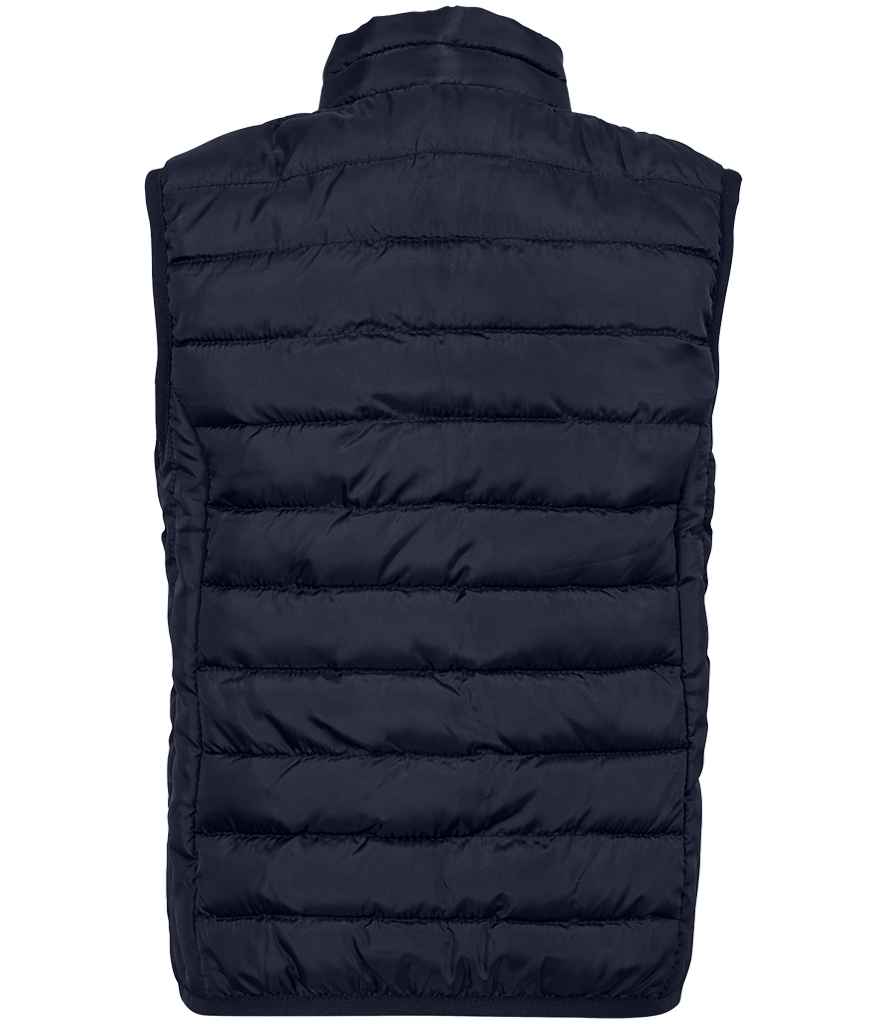 04446 French Navy Back