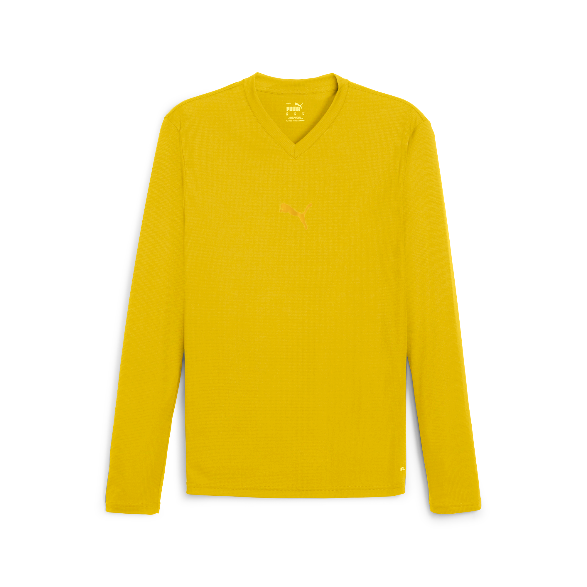 Puma teamGOAL Baselayer Tee LS