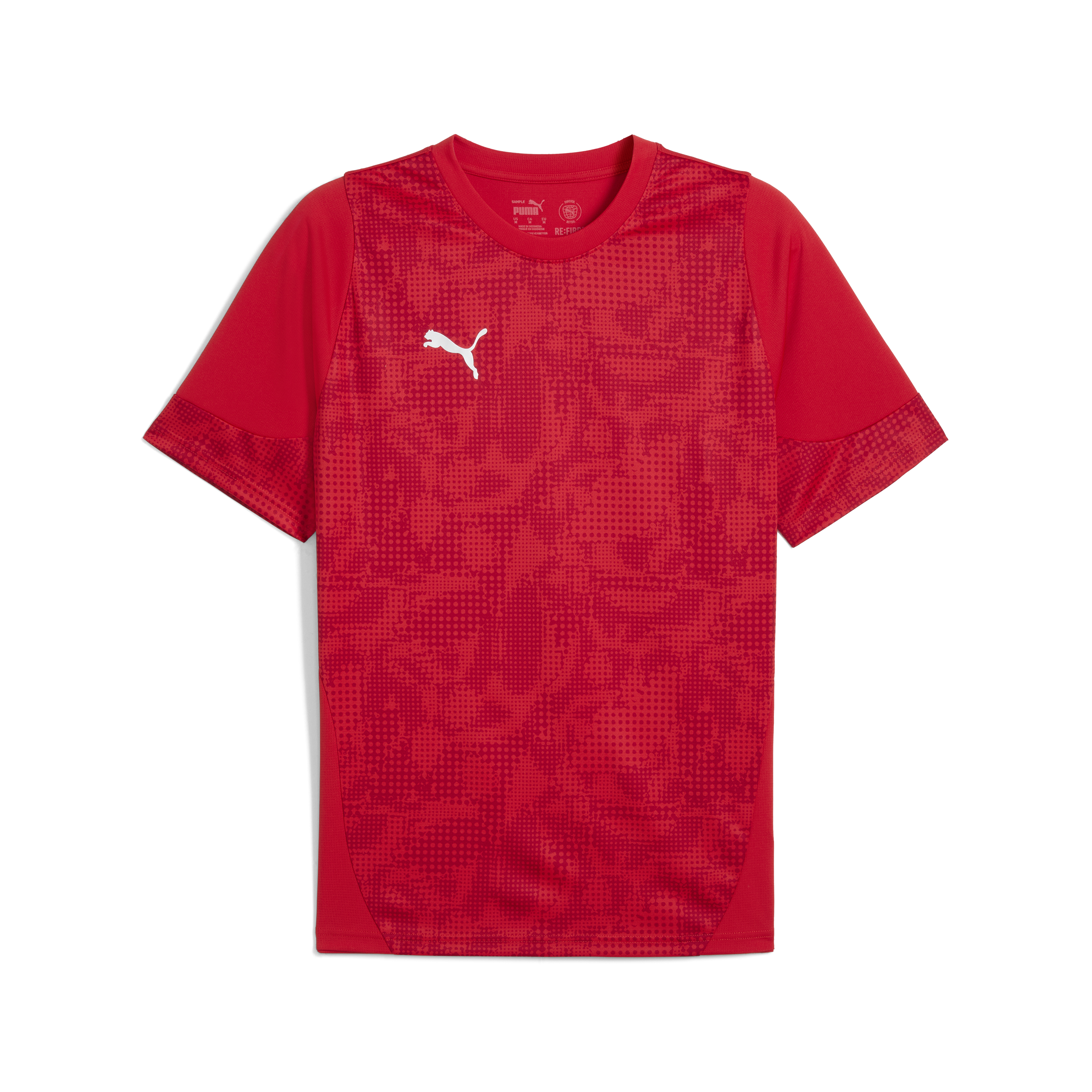 Puma teamCUP Training Jersey