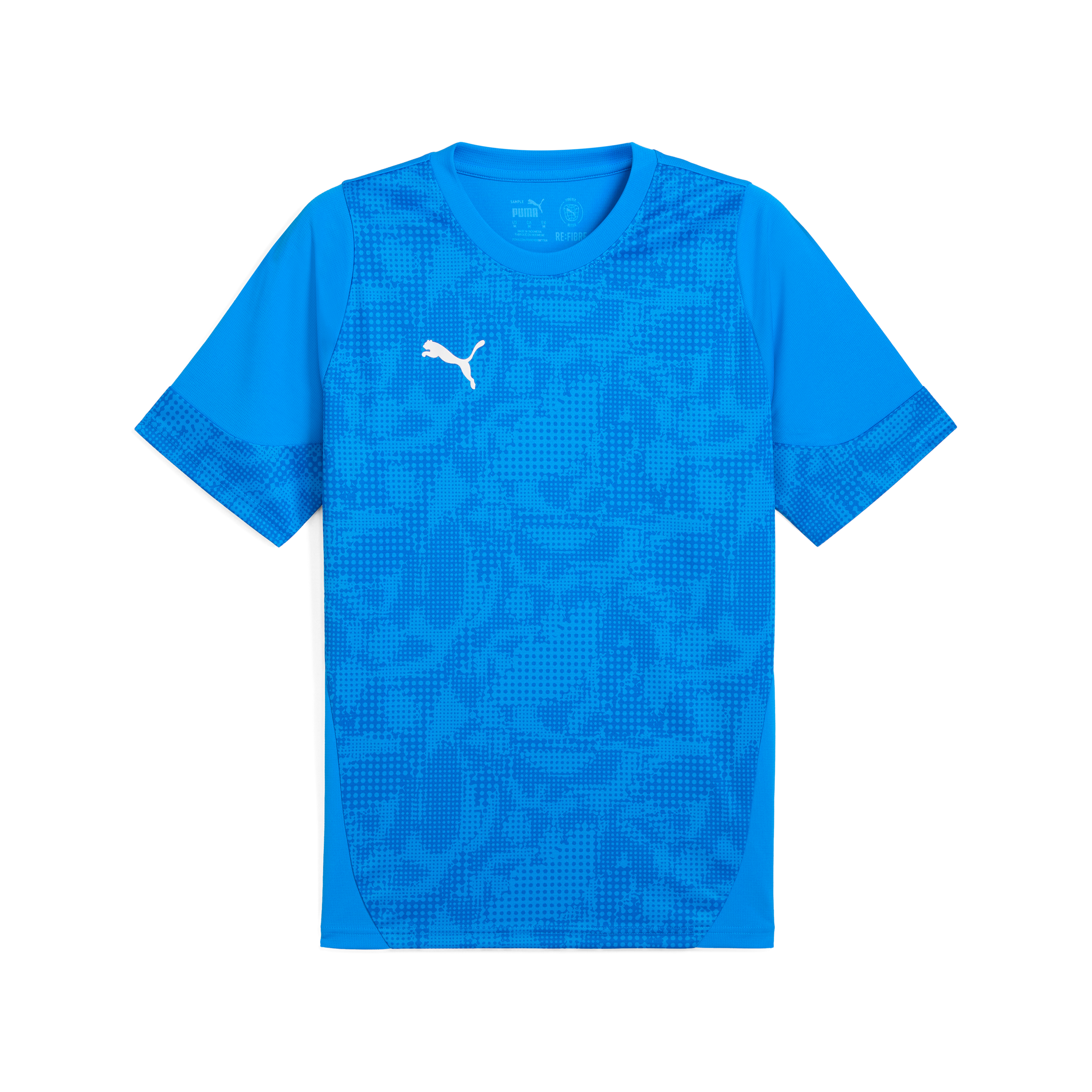 Puma teamCUP Training Jersey