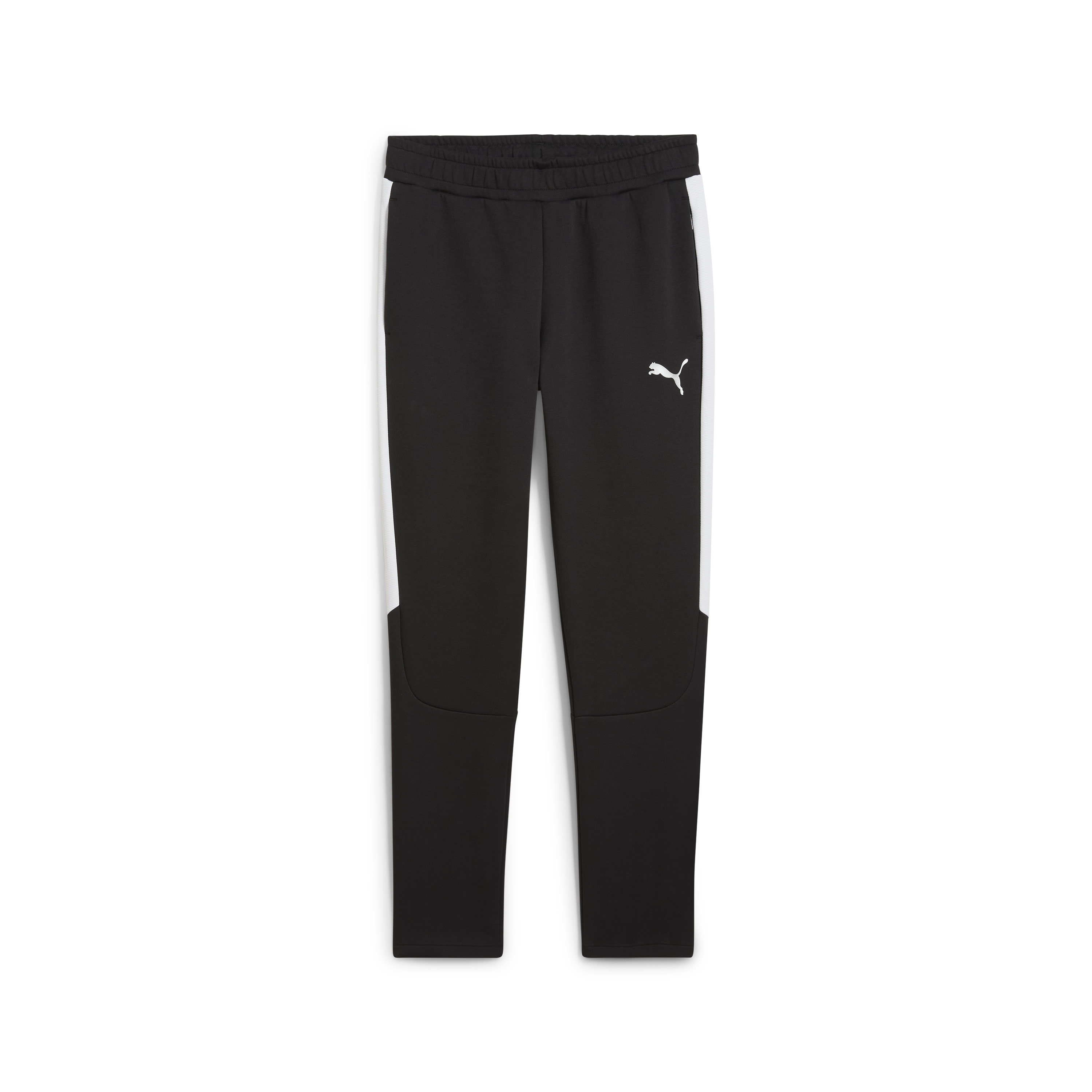 Puma teamEVOSTRIPE Pants