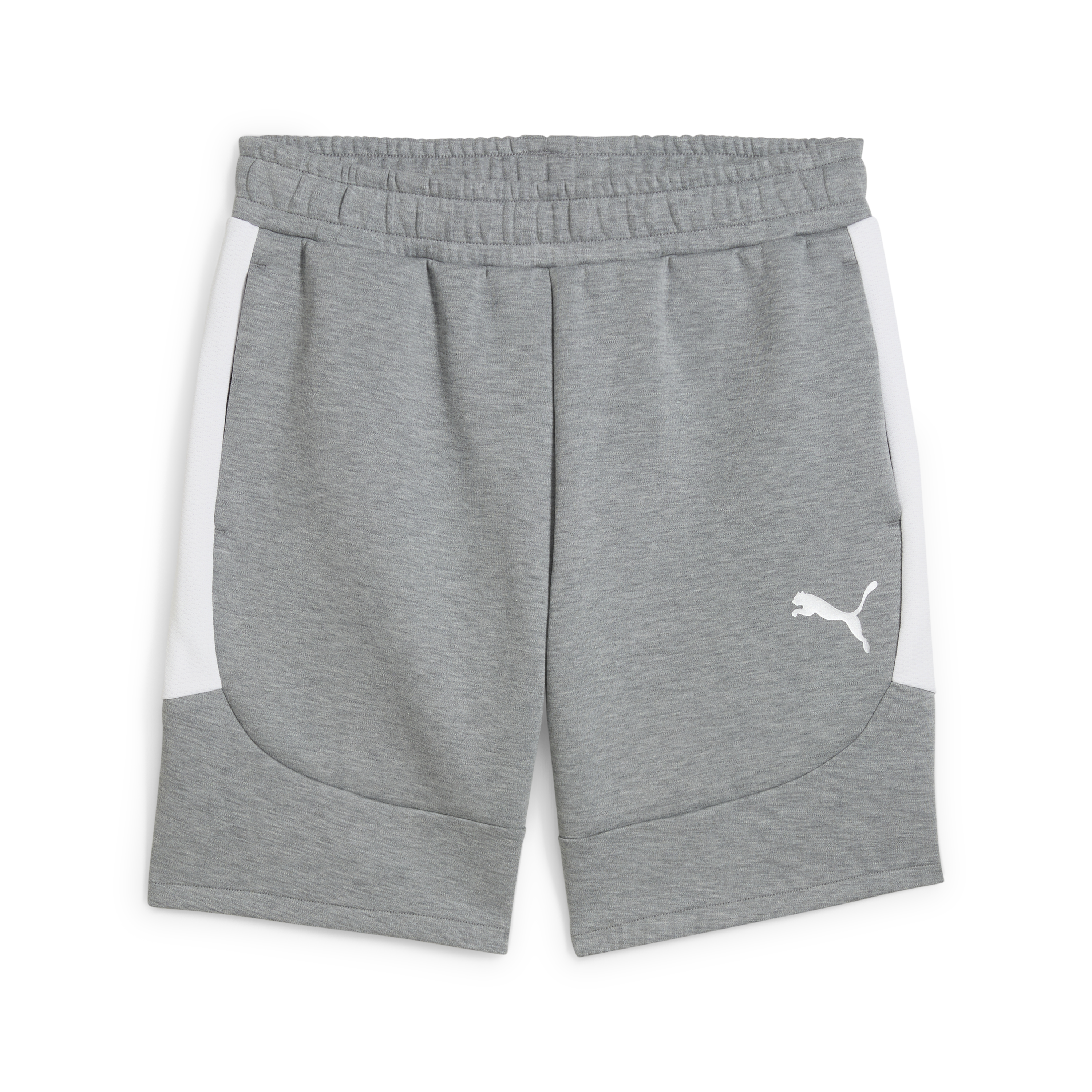 Puma teamEVOSTRIPE Shorts