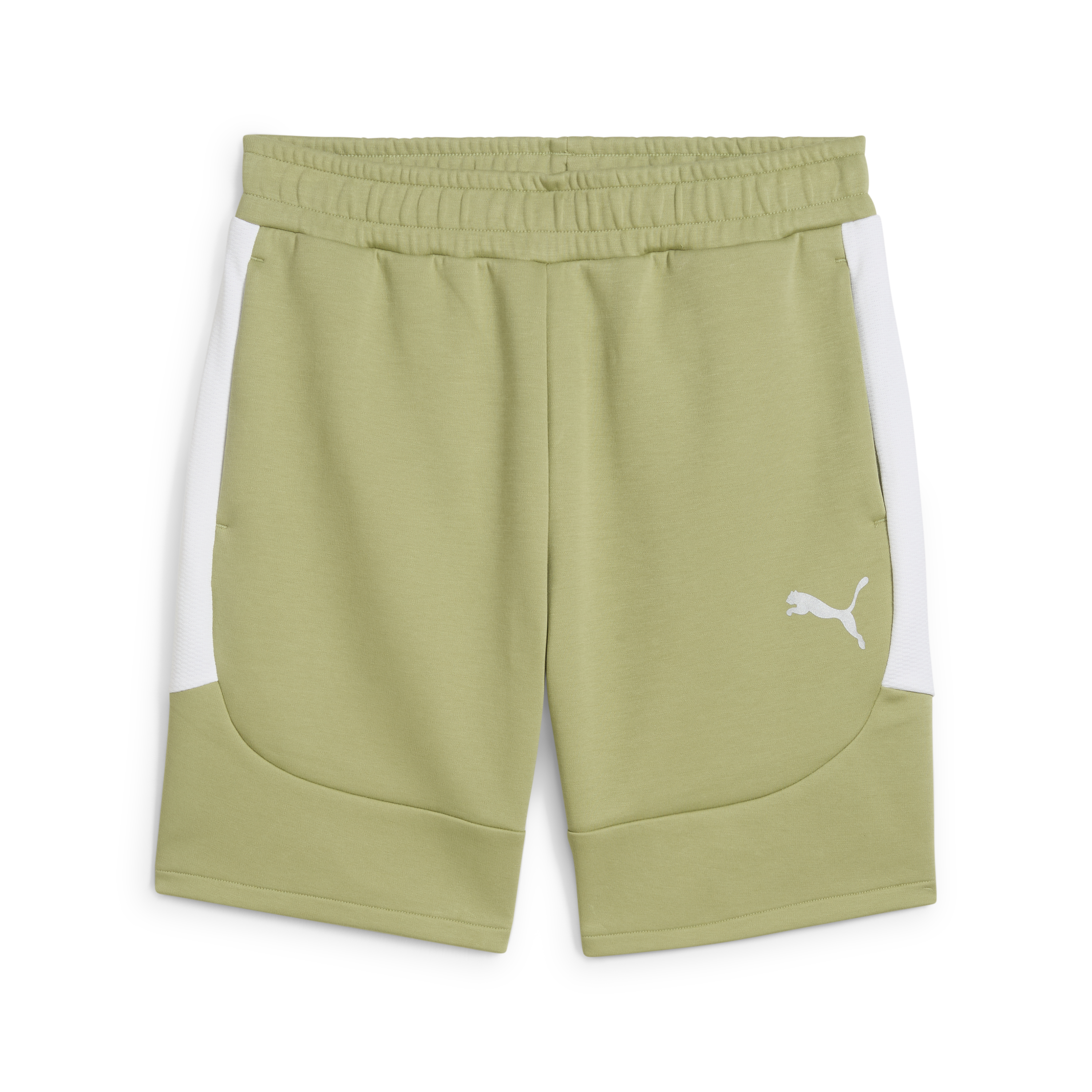 Puma teamEVOSTRIPE Shorts