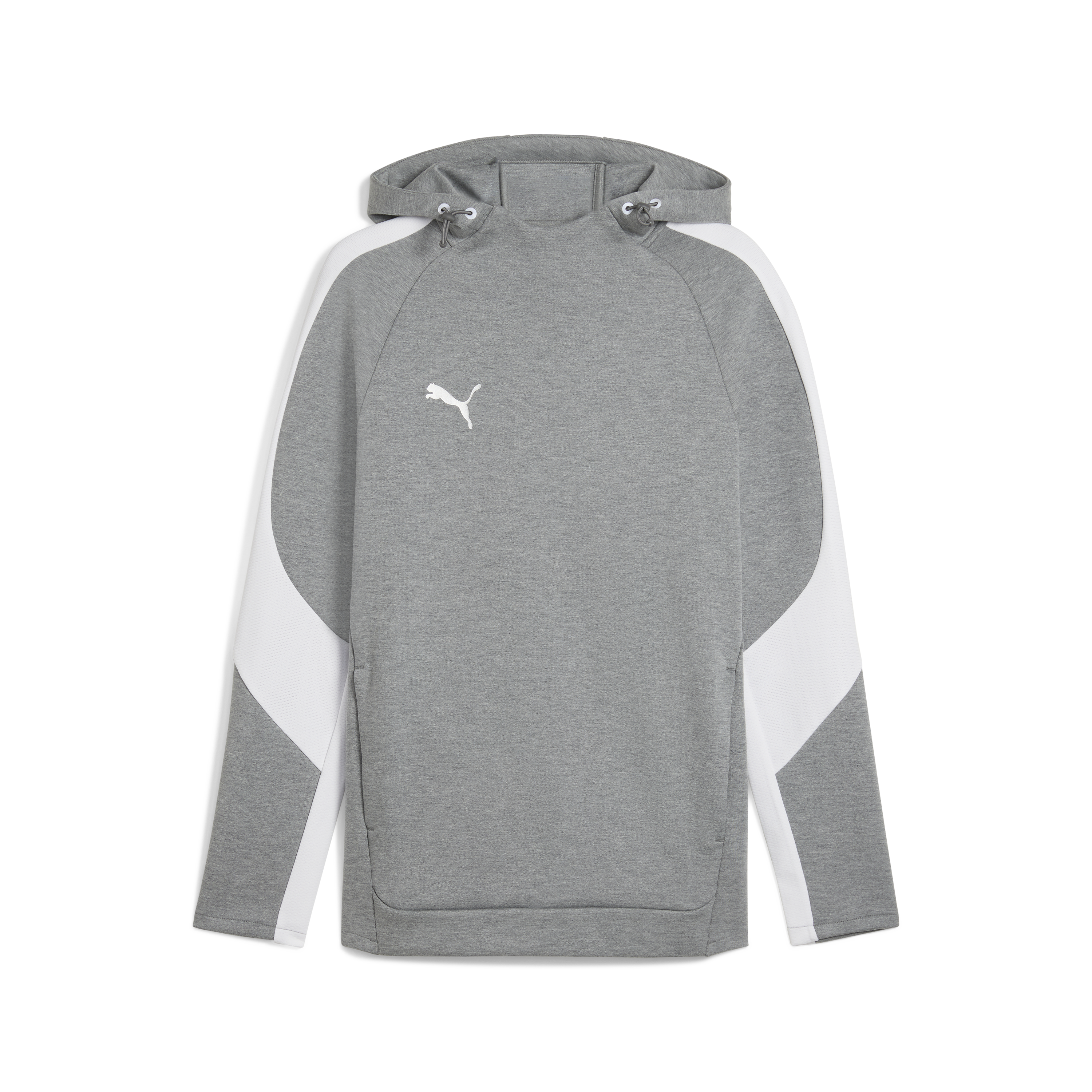Puma teamEVOSTRIPE Hoody