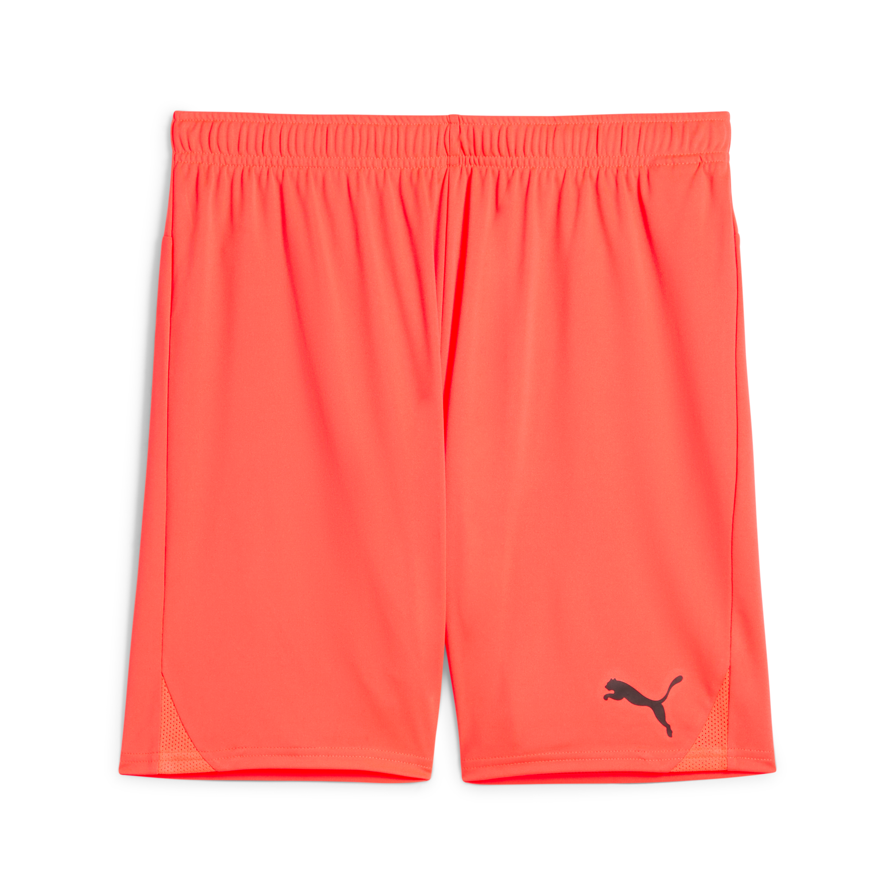 Puma teamGOAL Shorts