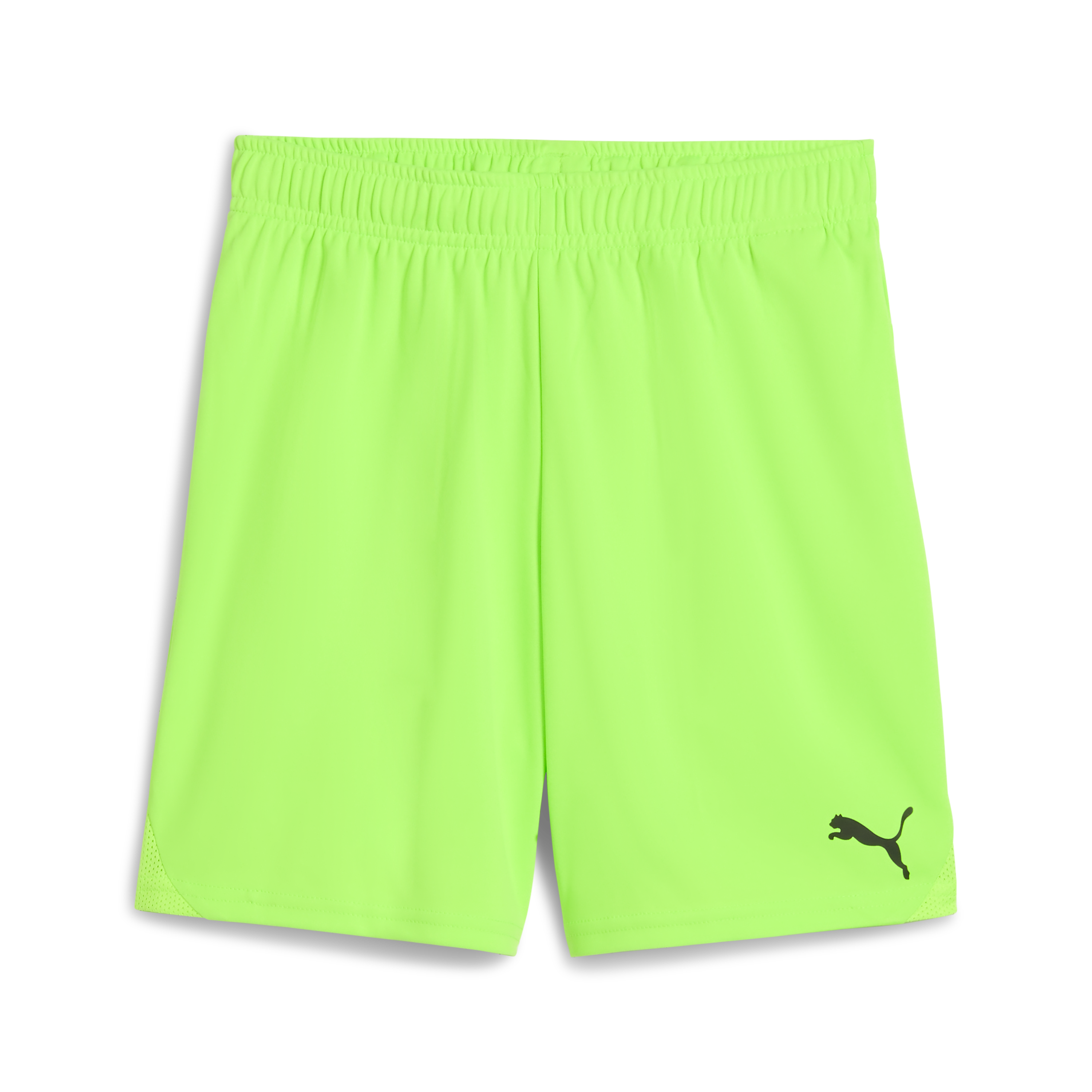 Puma teamGOAL Shorts Jr