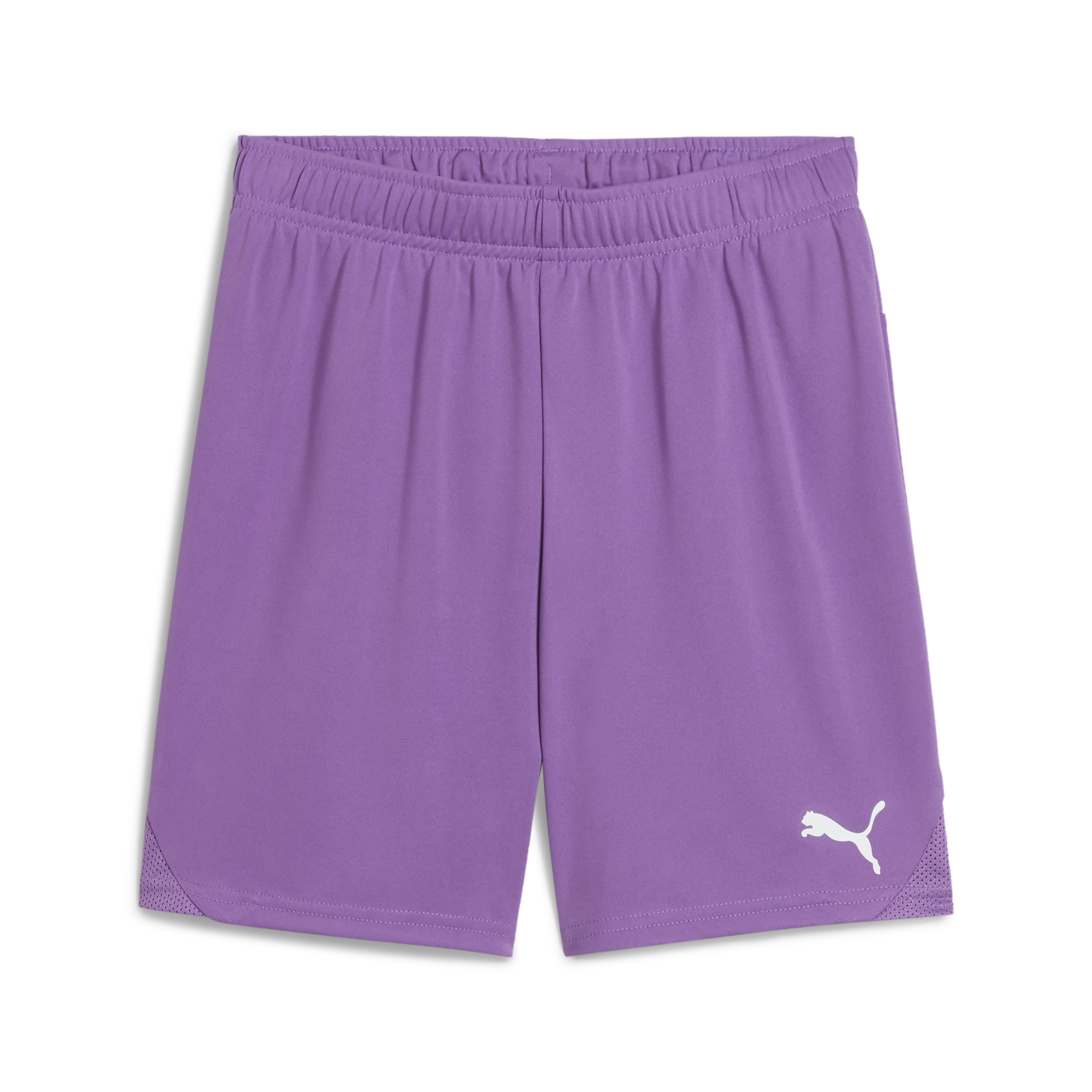 Puma teamGOAL Shorts Jr