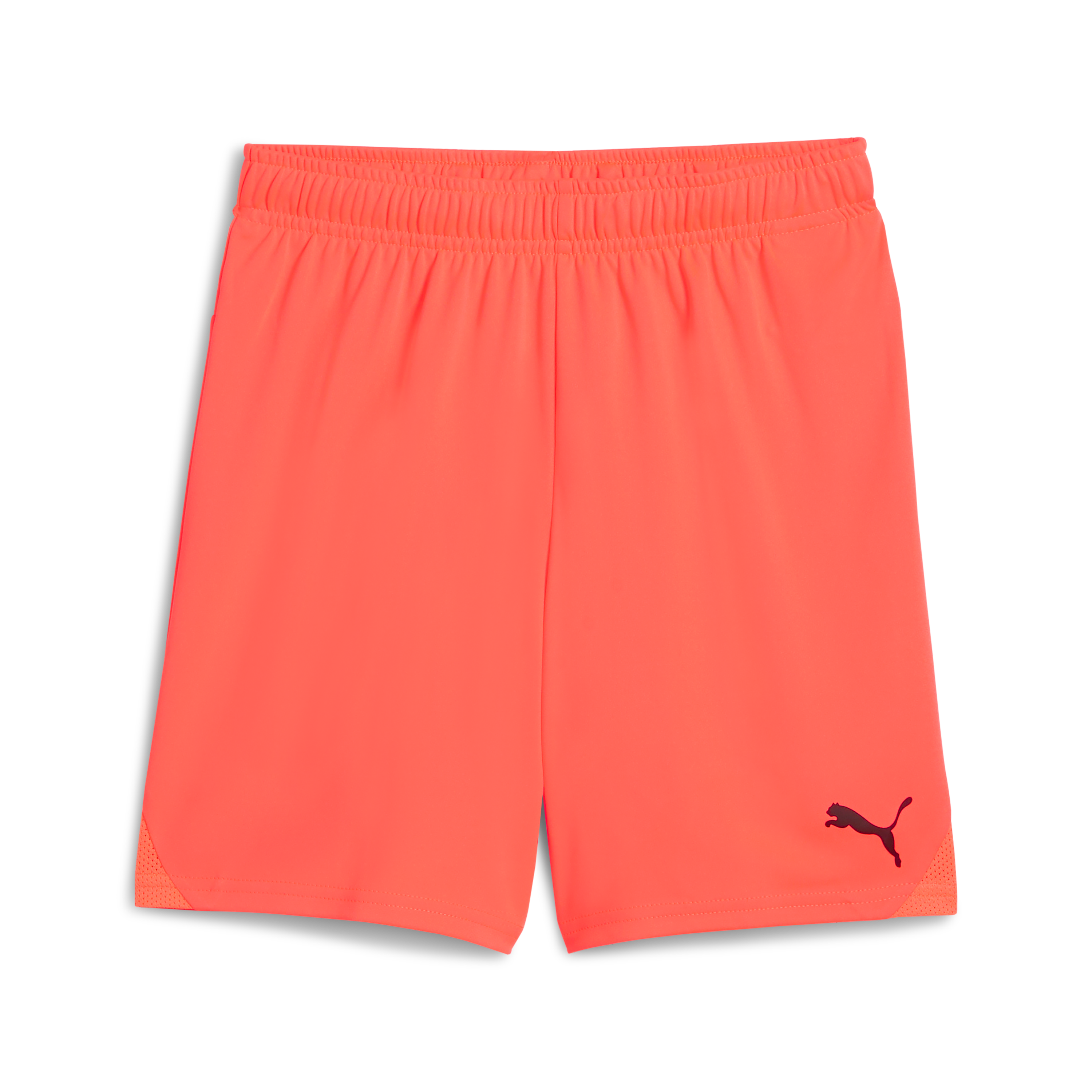 Puma teamGOAL Shorts Jr