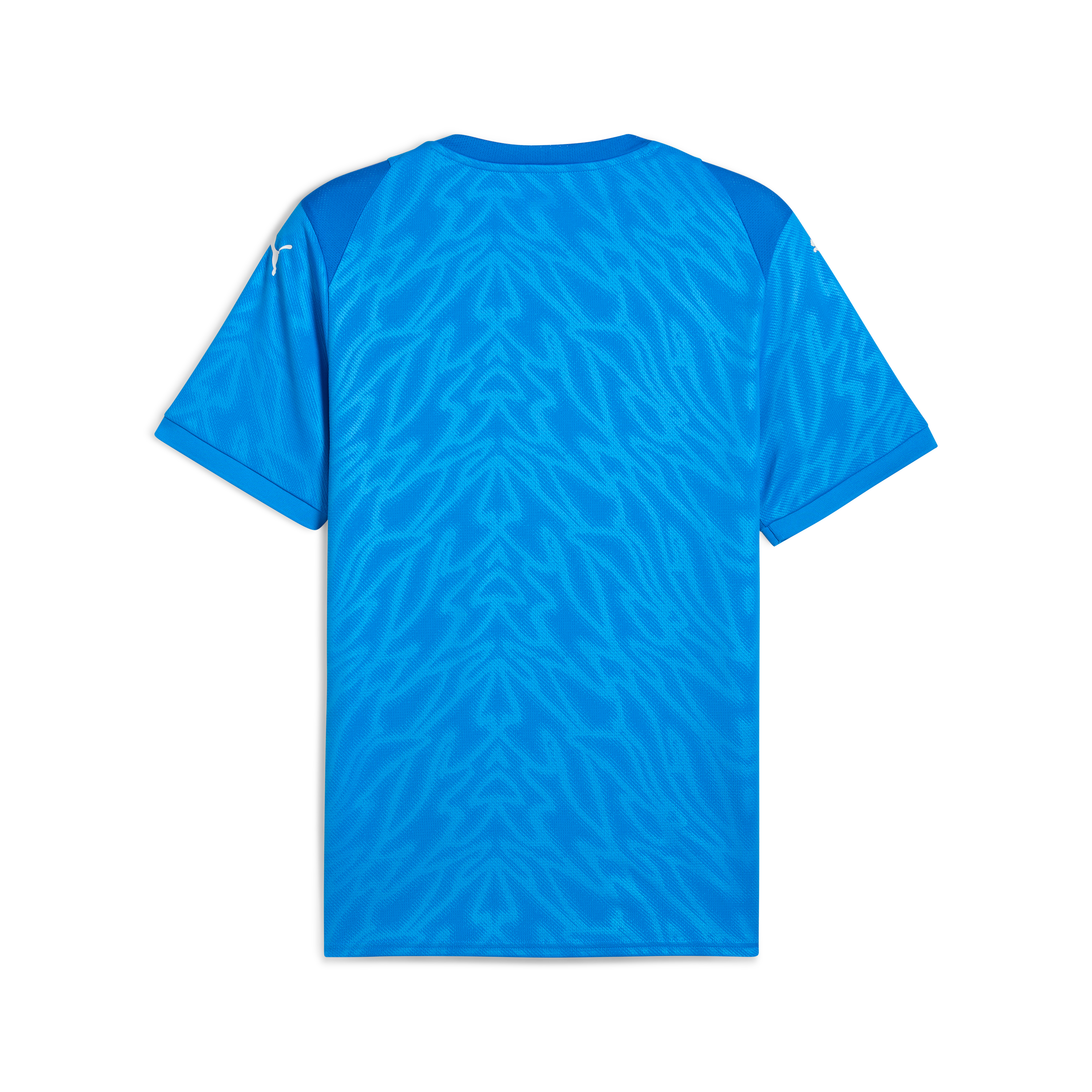 Puma teamCUP Training Jersey Jr