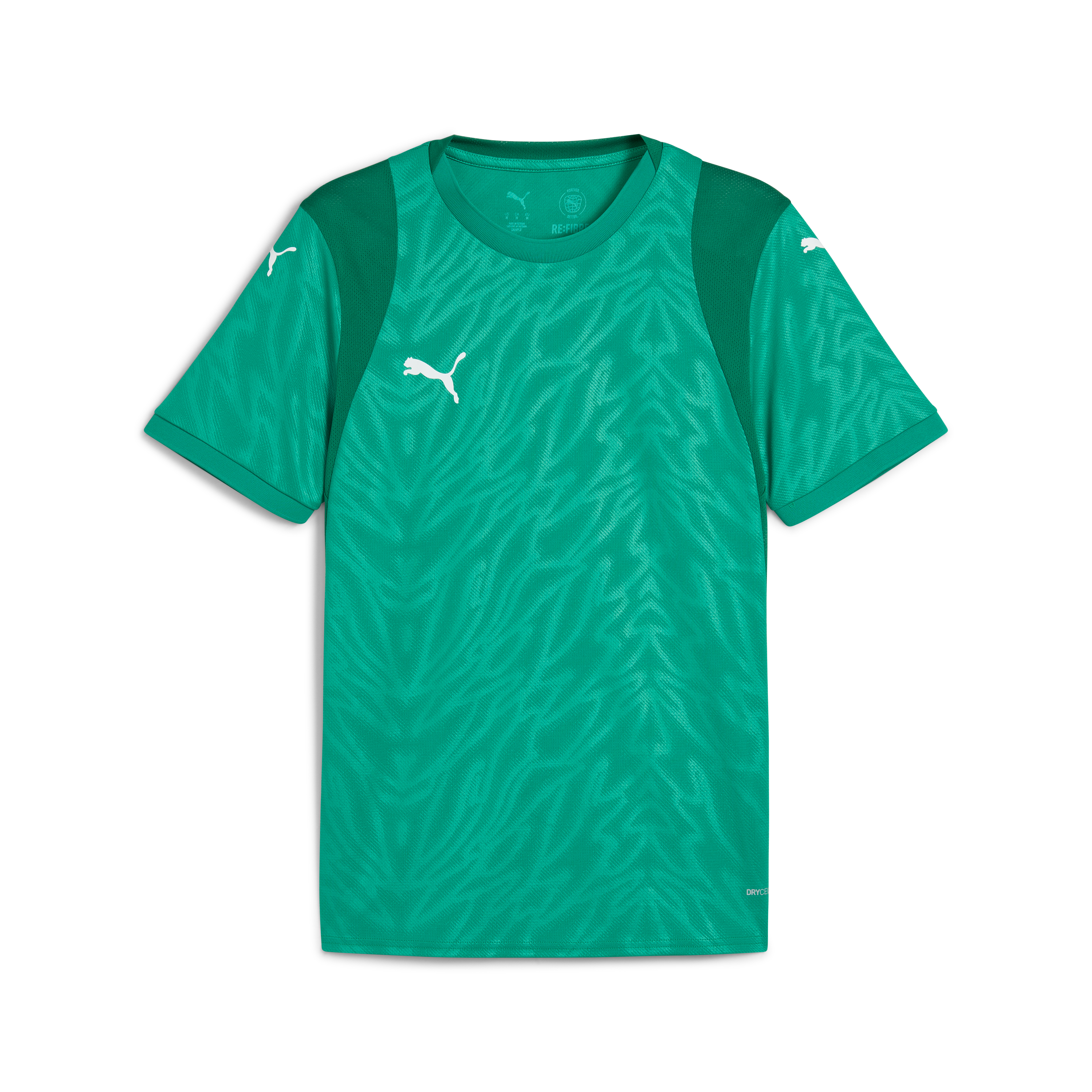 Puma teamCUP Training Jersey Jr