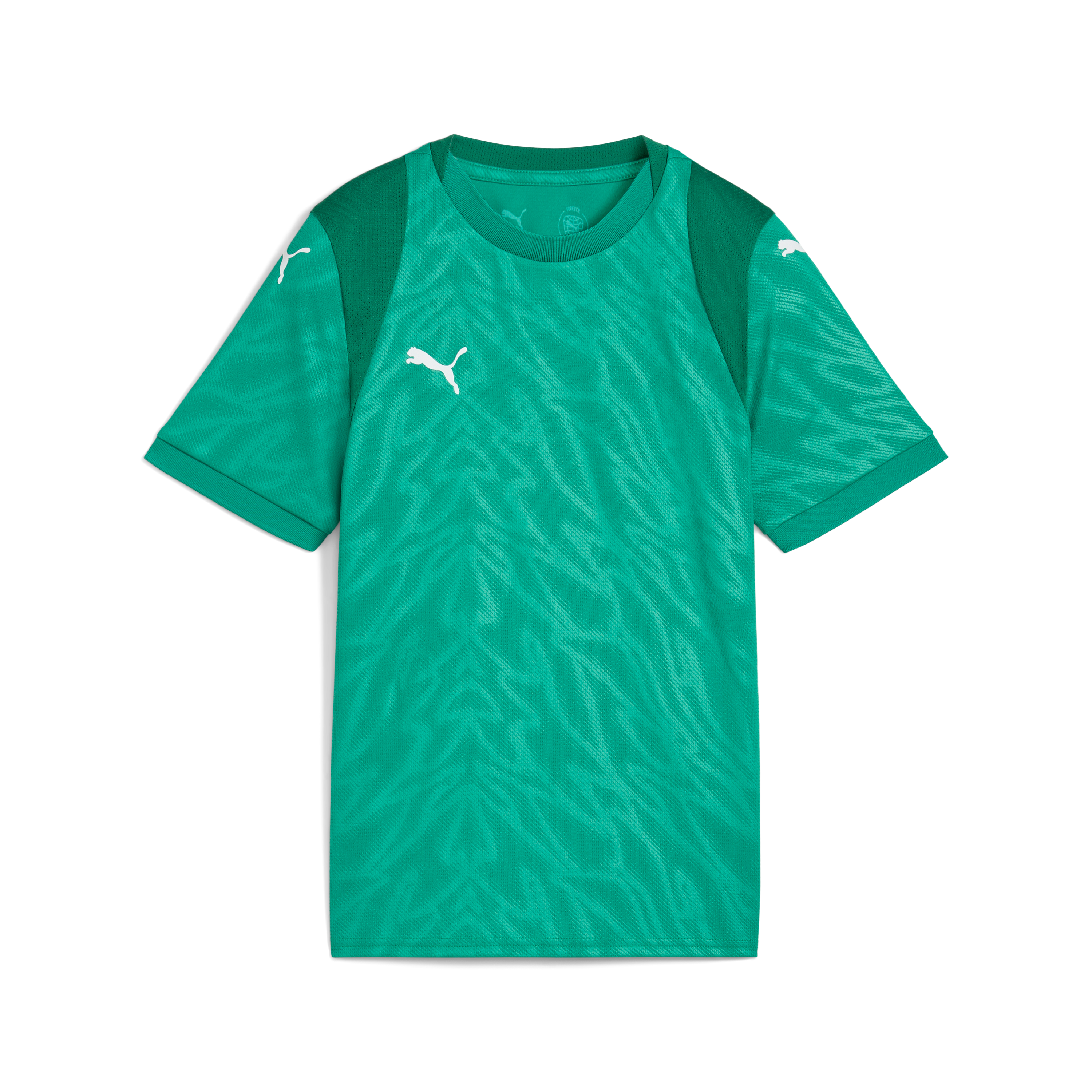 Puma teamCUP Jersey Jr