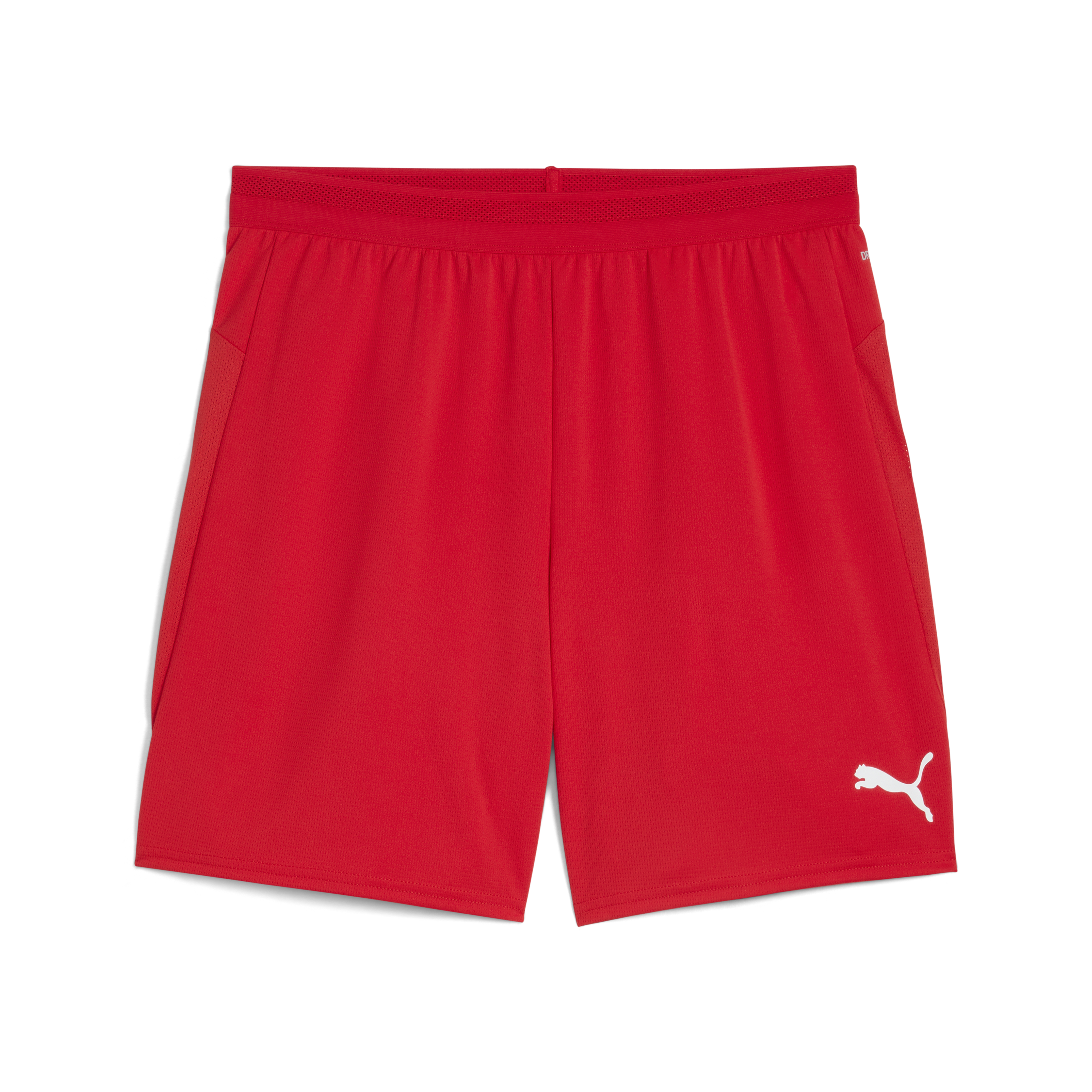 Puma teamCUP Shorts