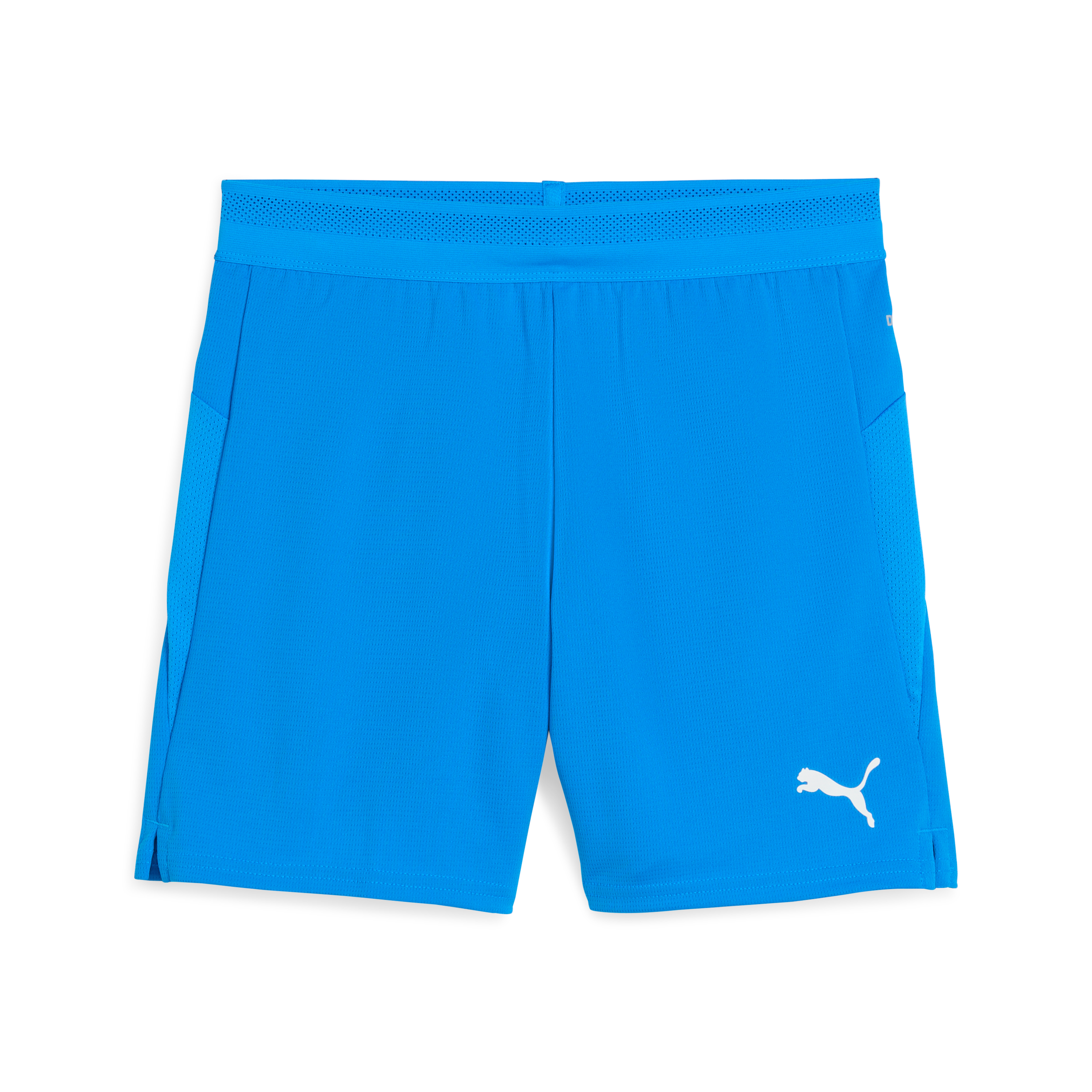 Puma teamCUP Shorts Jr