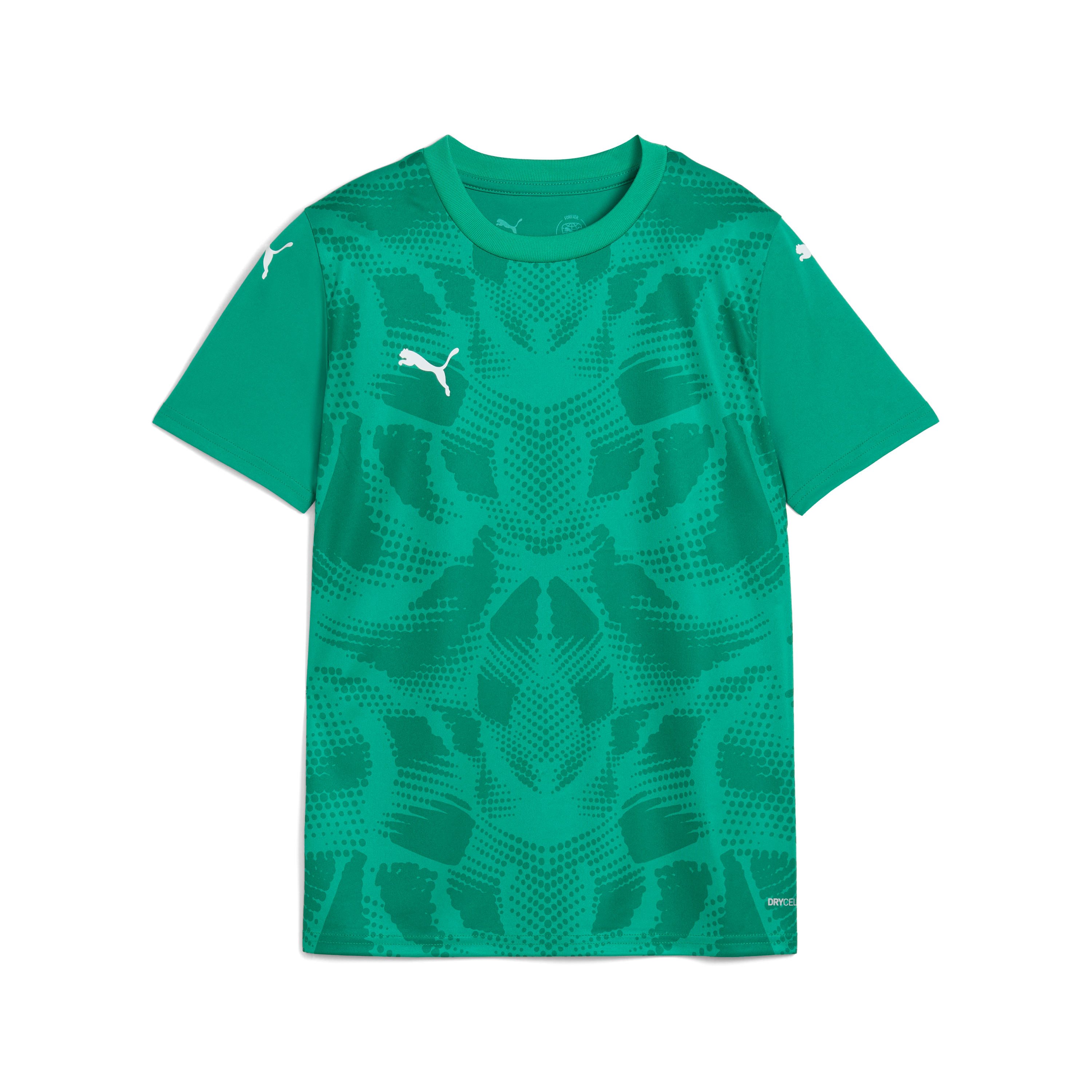 Puma teamULTIMATE Jersey Jr APPAREL - Lancashire Teamwear