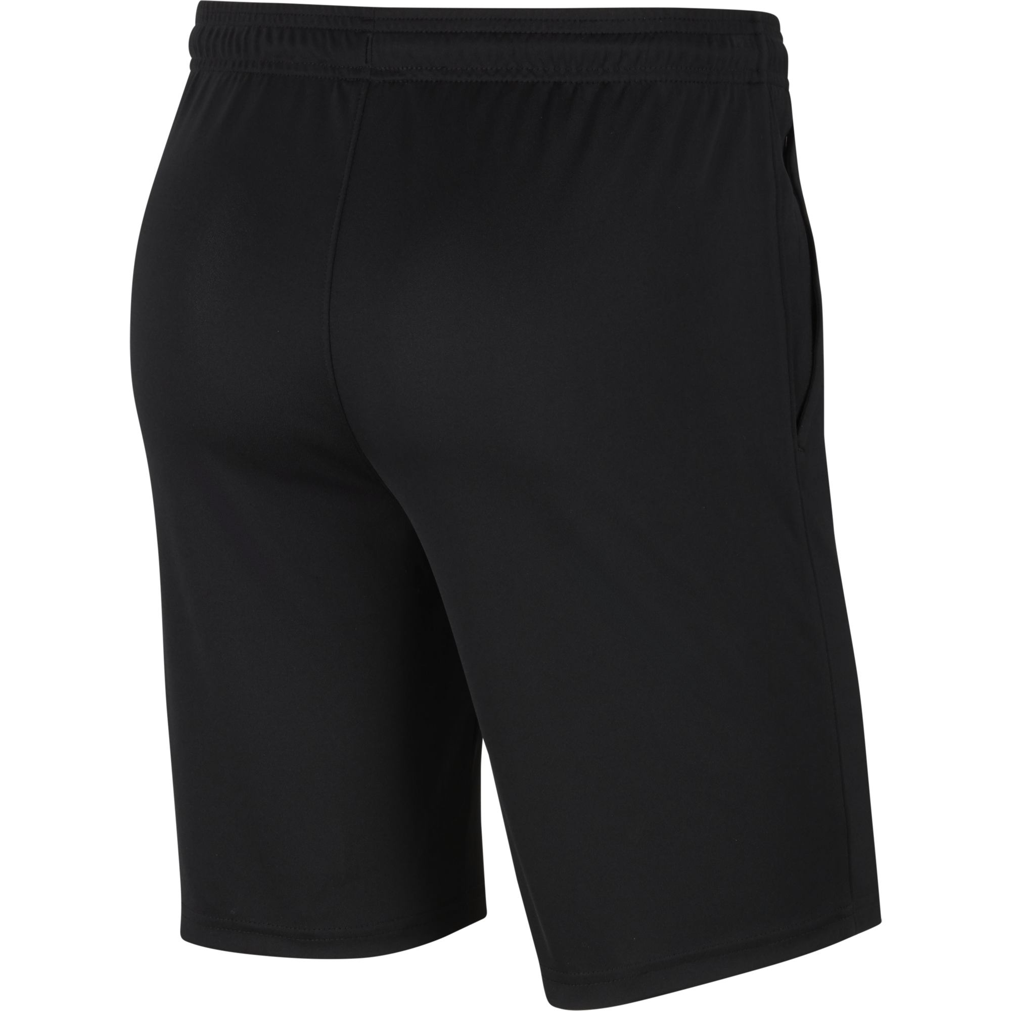 Nike Dri-Fit Park 20 Knit Short