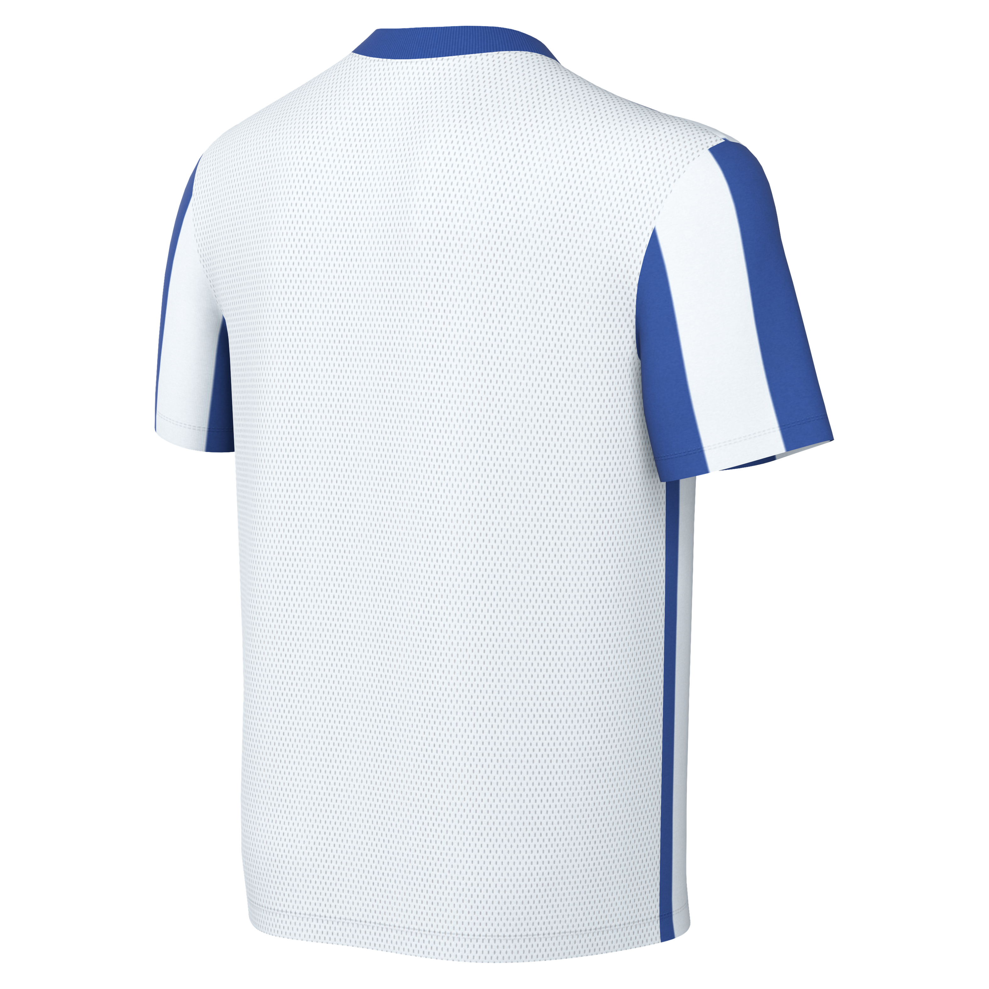 Nike Striped Division V Big Kids' Dri-FIT Jersey 2025 Match Shirts - Lancashire Teamwear