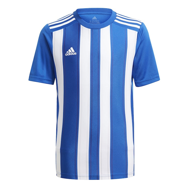 adidas Striped 21 SS Jersey - Team Royal Blue/White