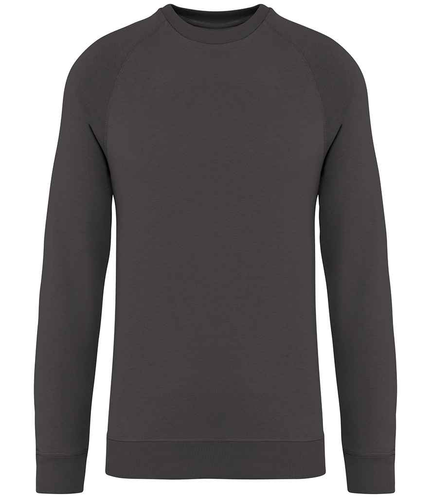 Native Spirit Unisex Raglan Sleeve Sweatshirt Iron Grey