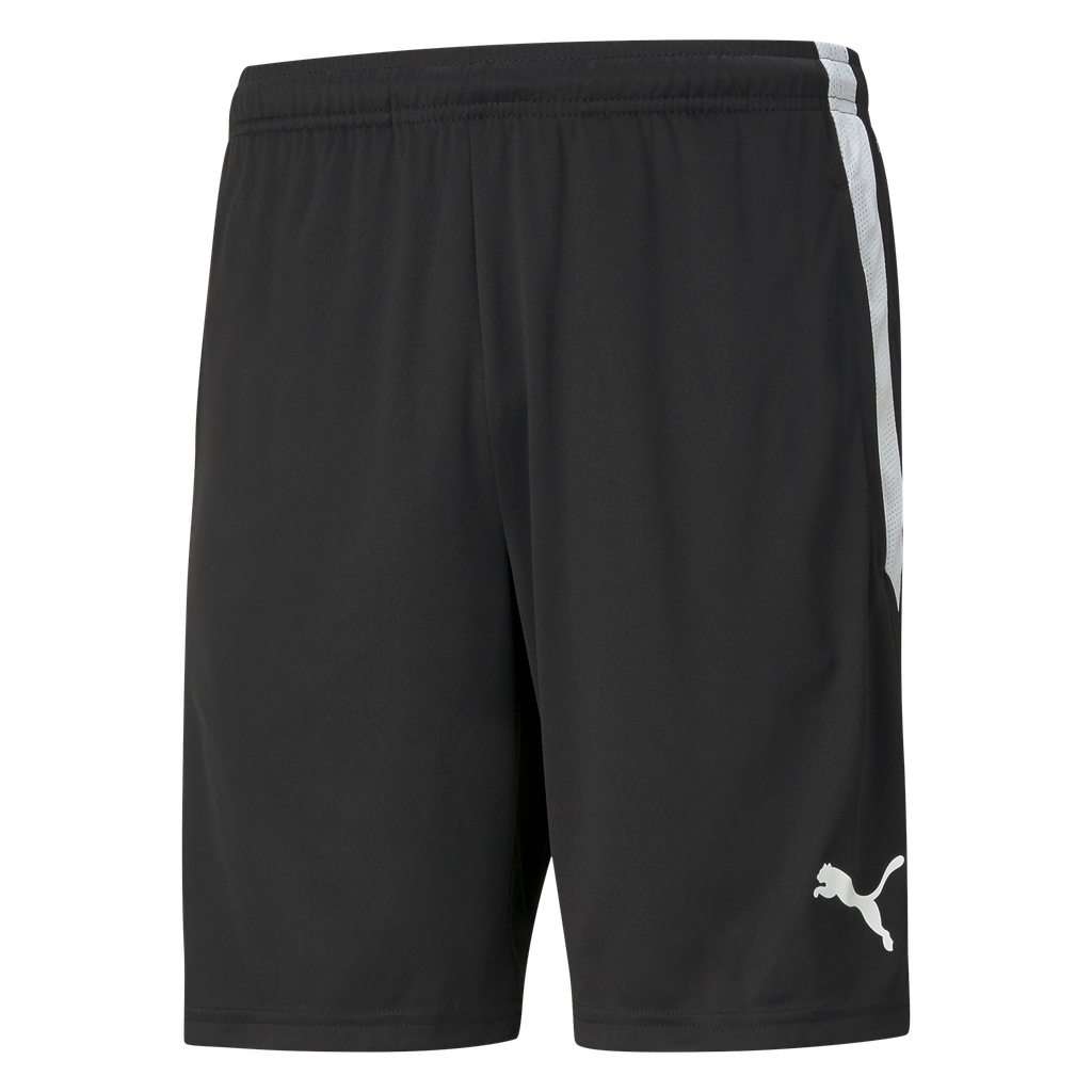 teamLIGA Training Shorts