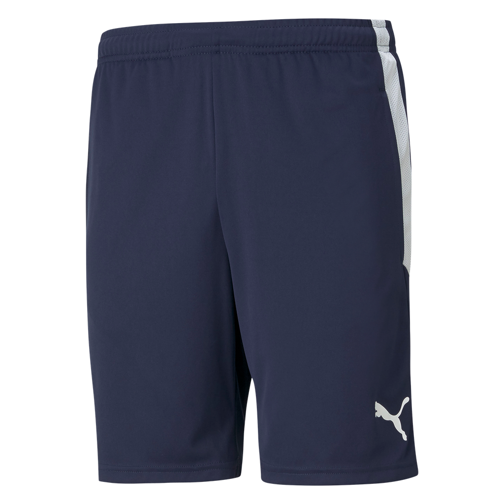 teamLIGA Training Shorts