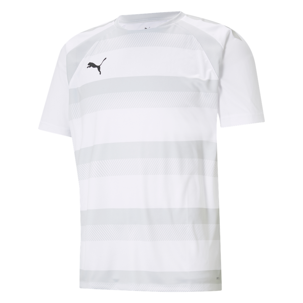 teamVISION Jersey