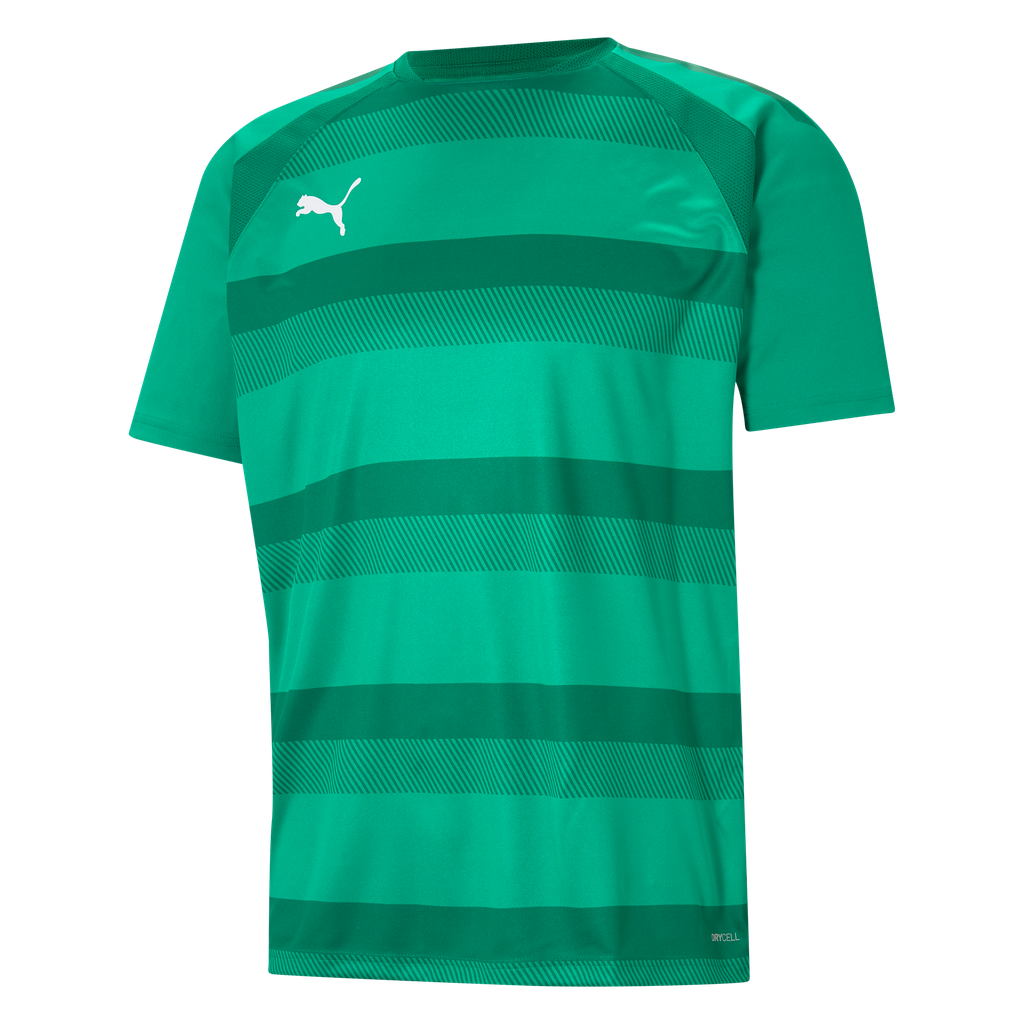 teamVISION Jersey