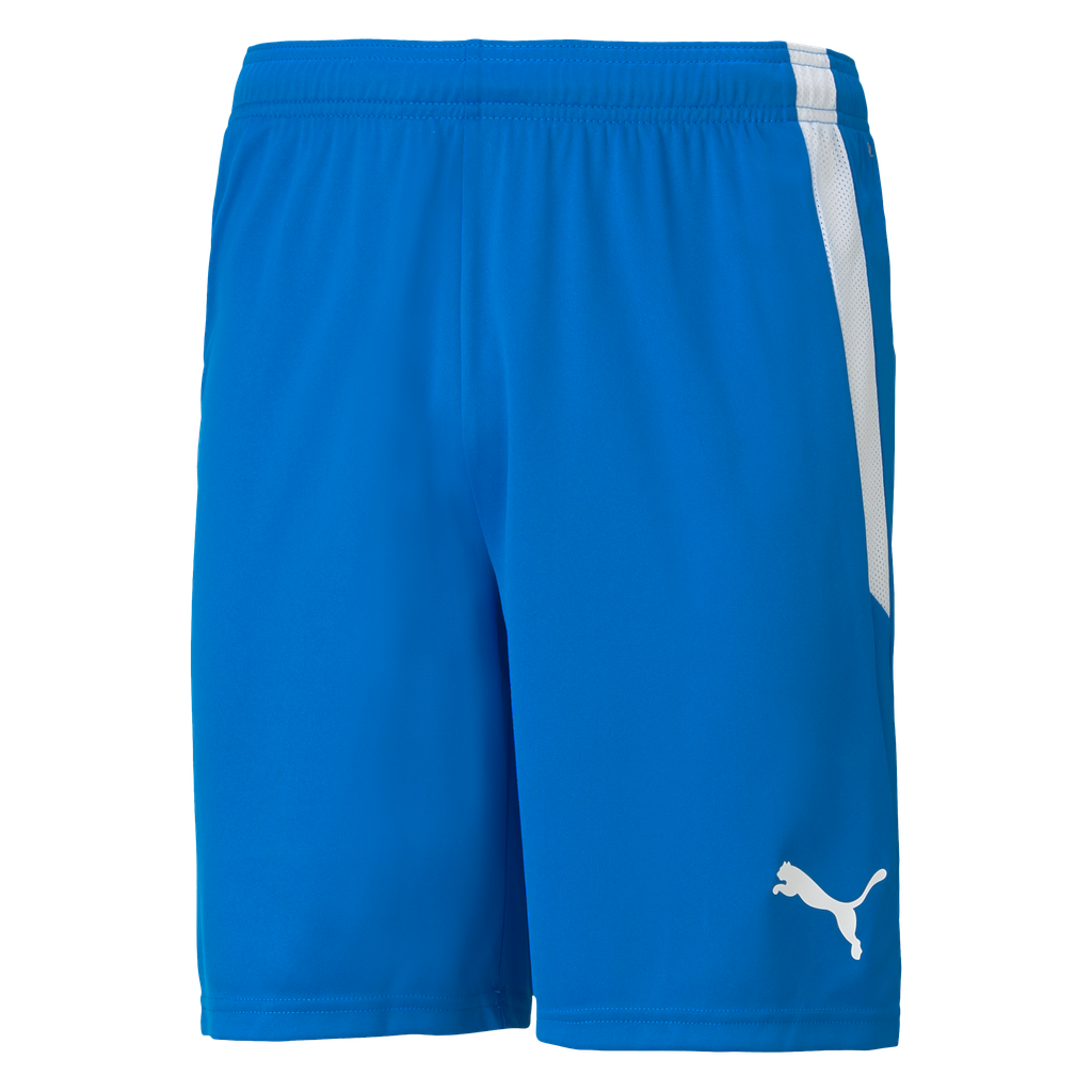 teamLIGA Shorts | 02
