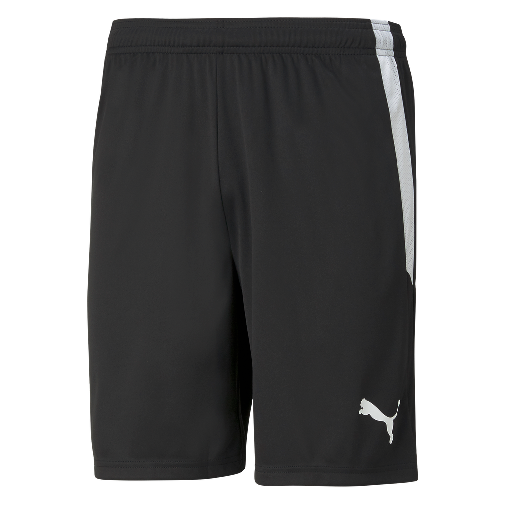 teamLIGA Shorts | 03