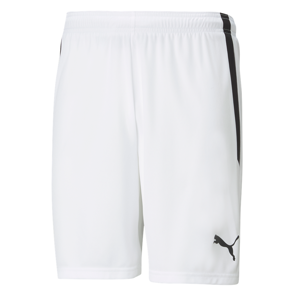 teamLIGA Shorts | 04