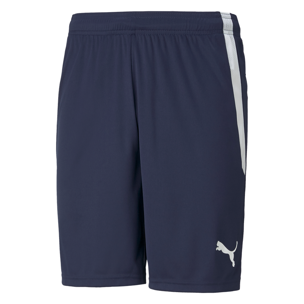 teamLIGA Shorts | 06