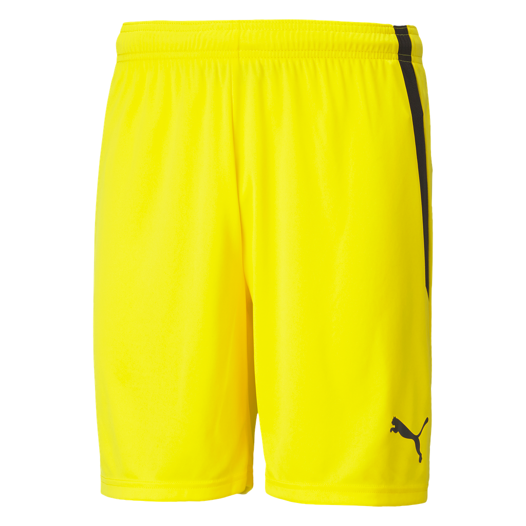 teamLIGA Shorts | 07