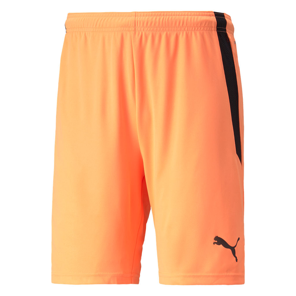 teamLIGA Shorts | 21
