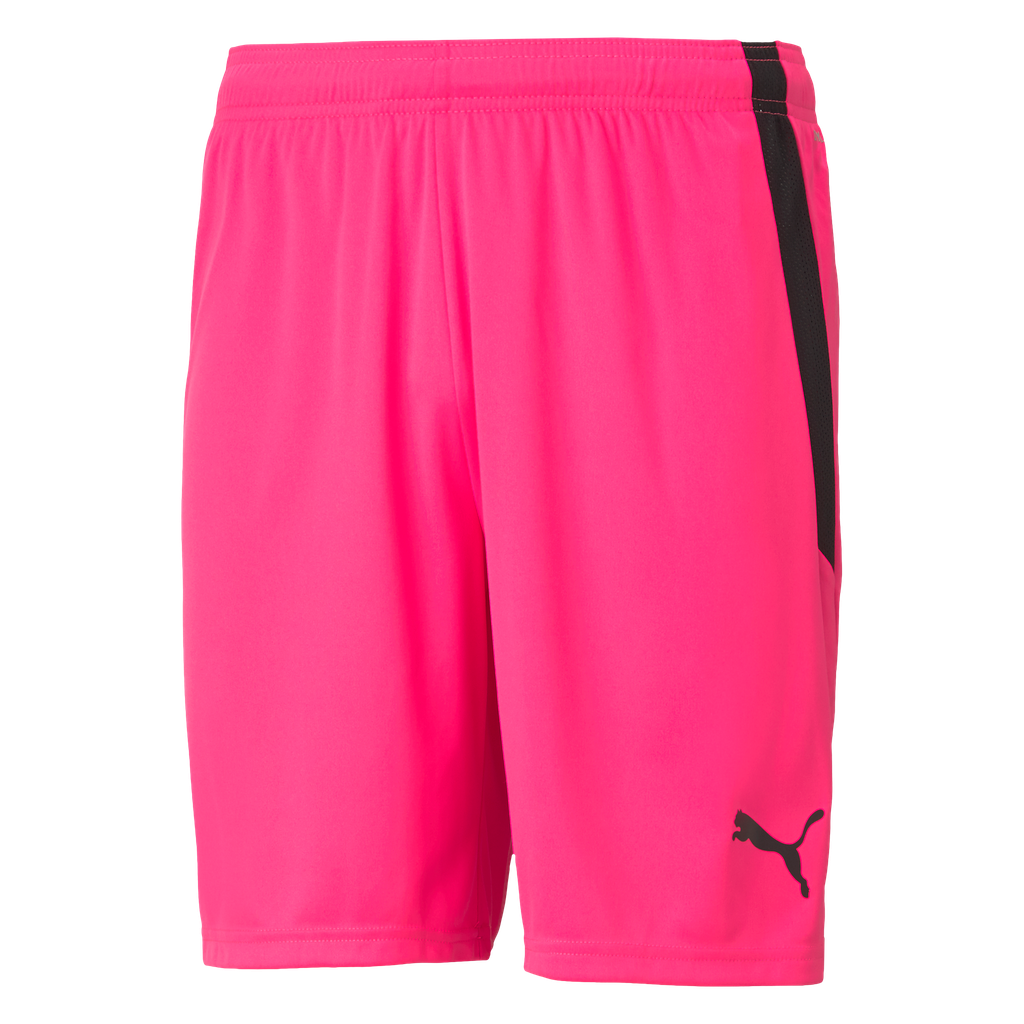 teamLIGA Shorts | 25
