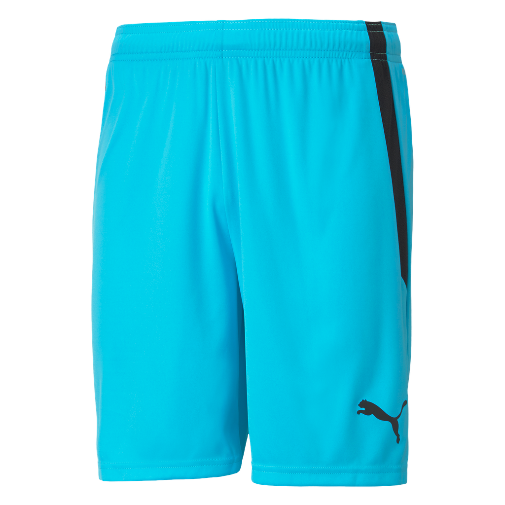 teamLIGA Shorts | 40