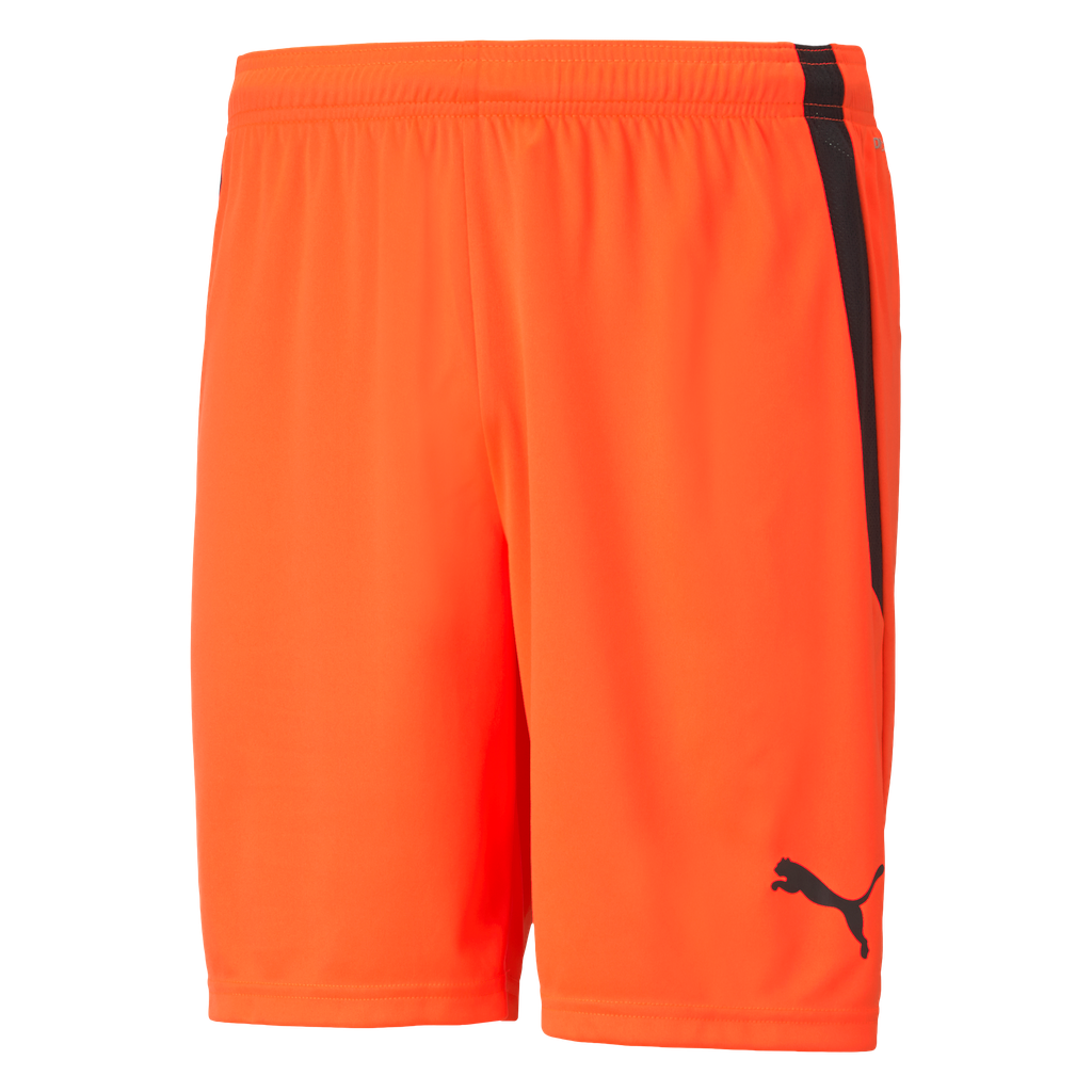teamLIGA Shorts | 45