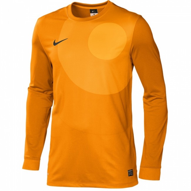Nike Park Iv Kids Goalkeeper Jersey