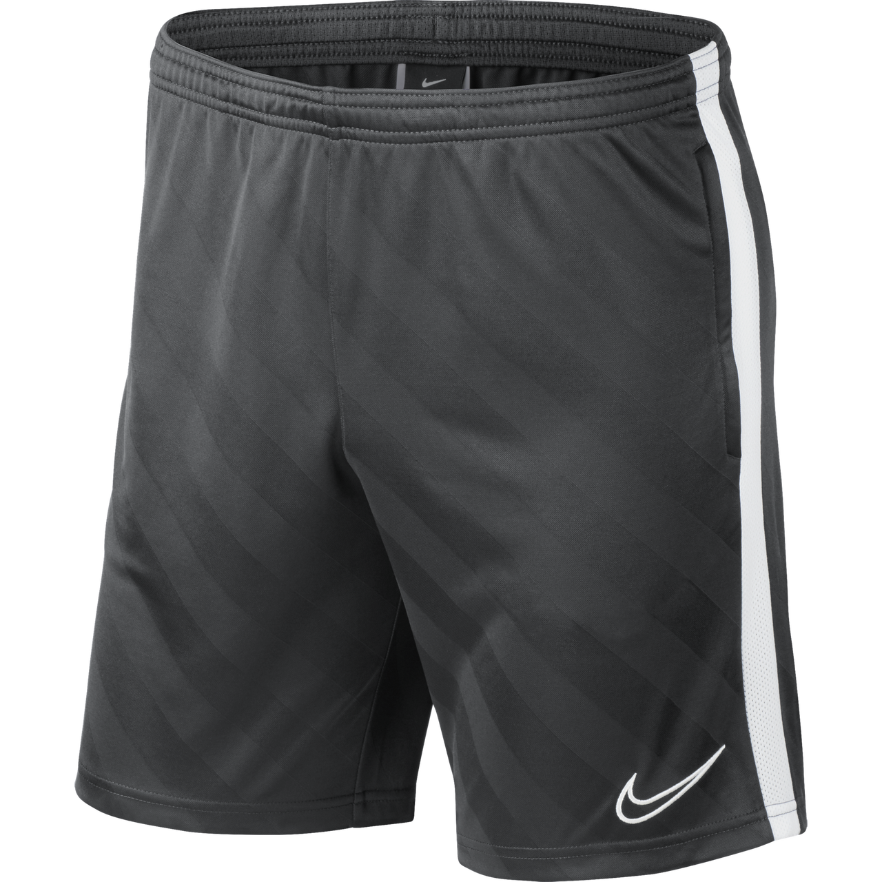 Nike Academy 19 Shorts