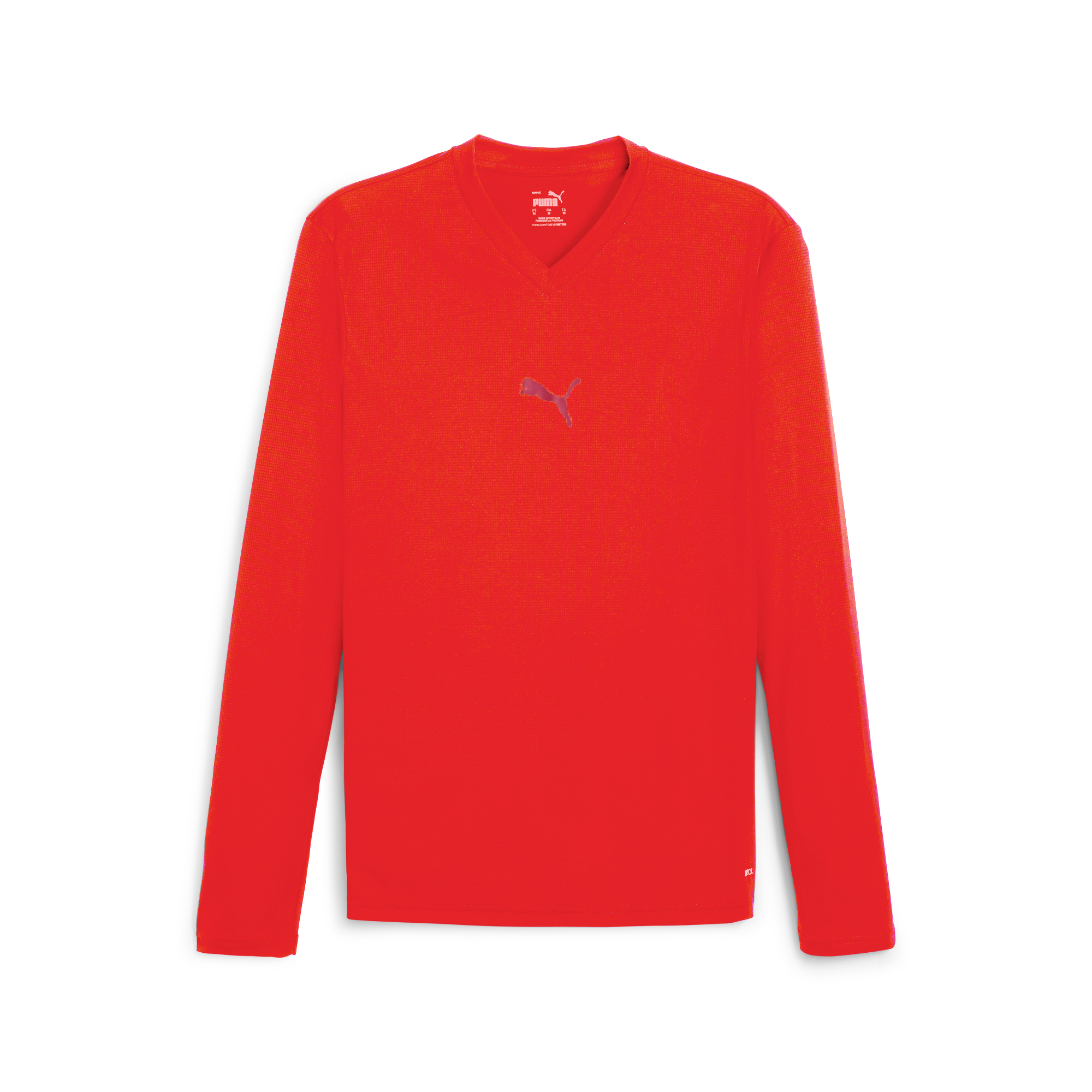 Puma teamGOAL Baselayer Tee LS