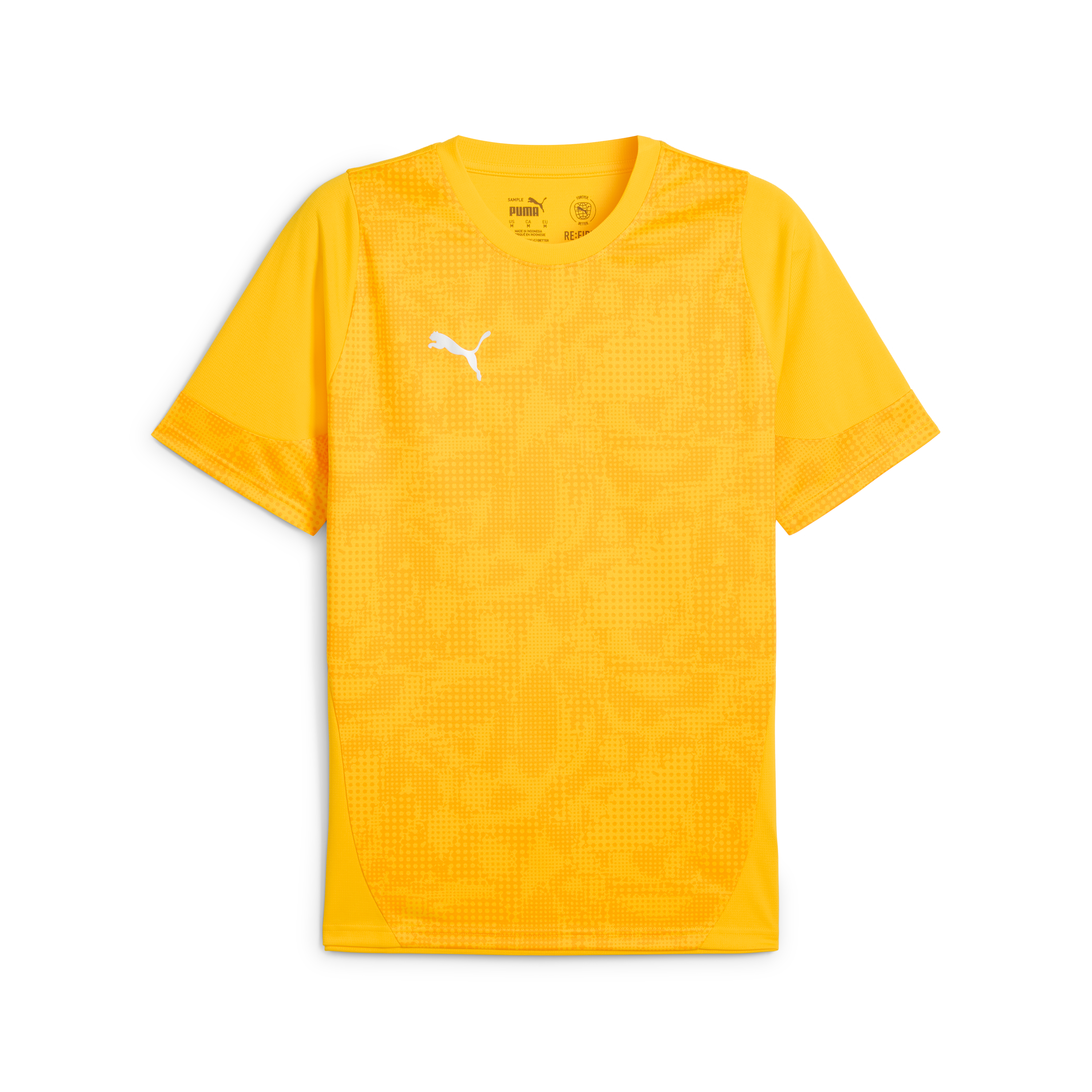 Puma teamCUP Training Jersey