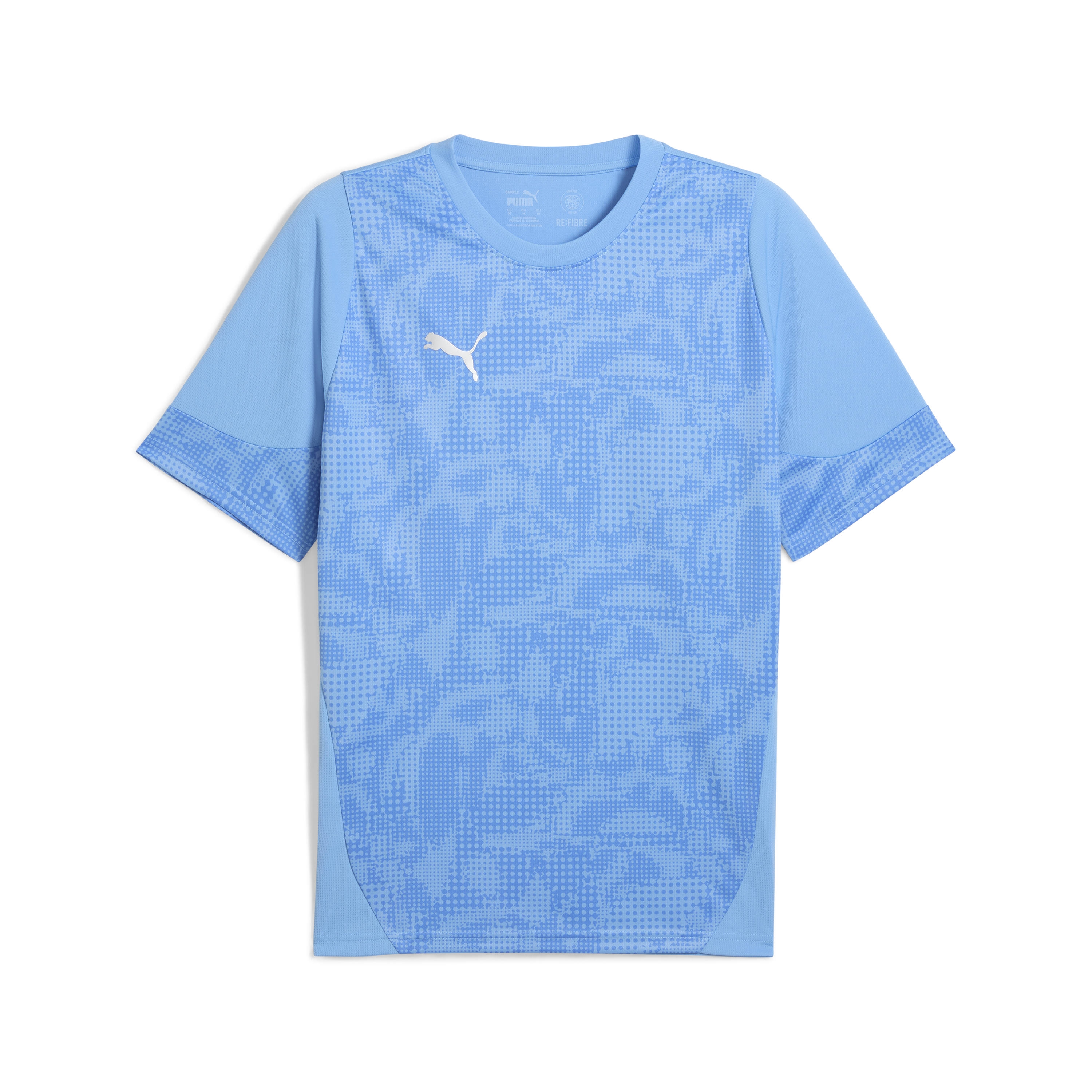 Puma teamCUP Training Jersey