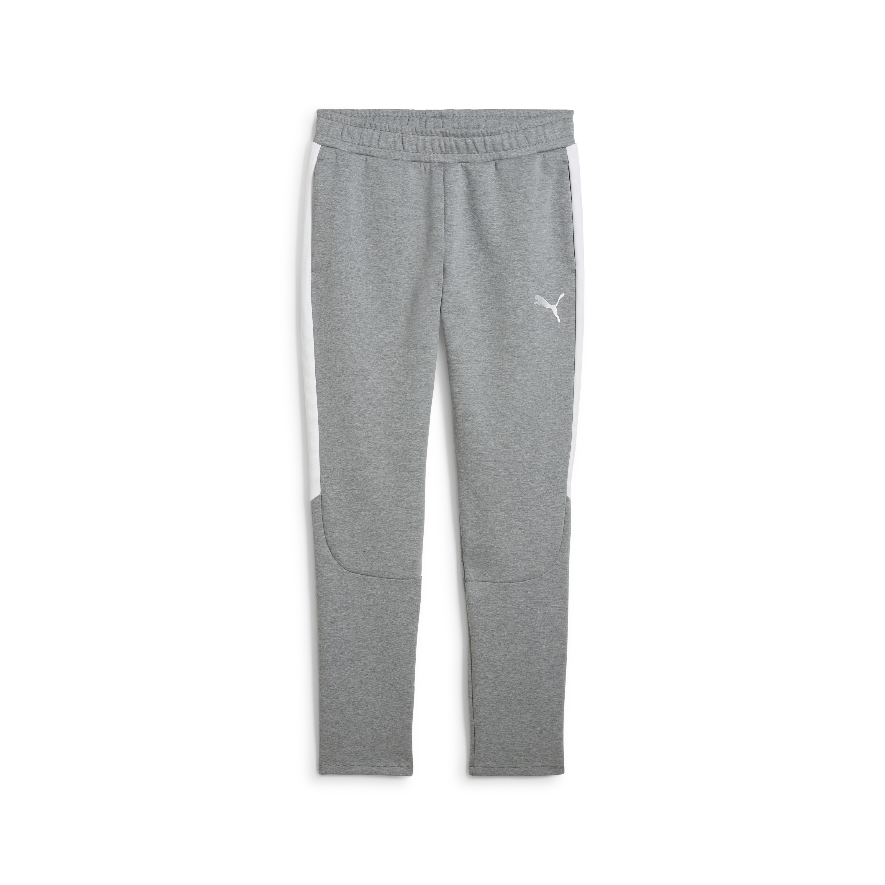 Puma teamEVOSTRIPE Pants