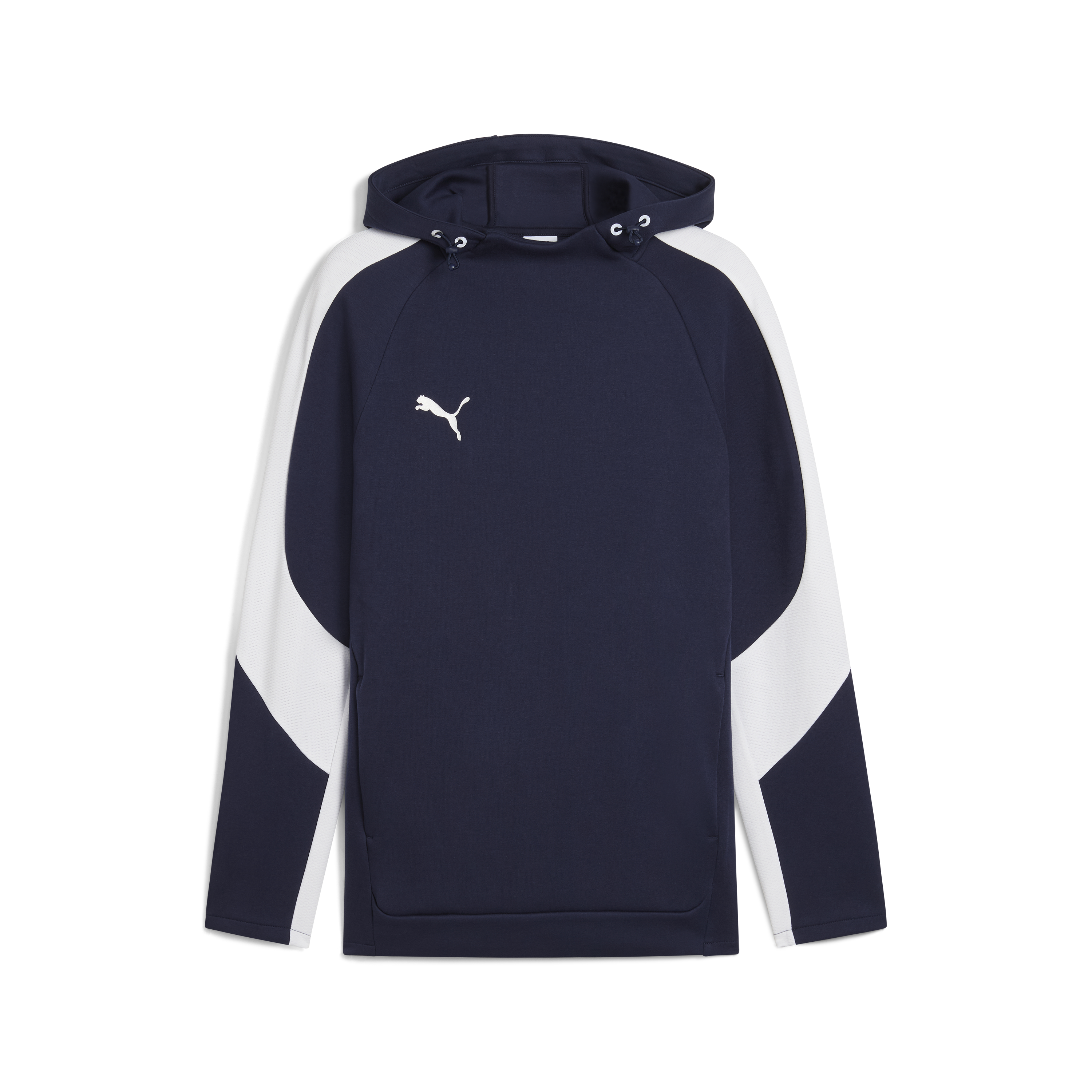 Puma teamEVOSTRIPE Hoody