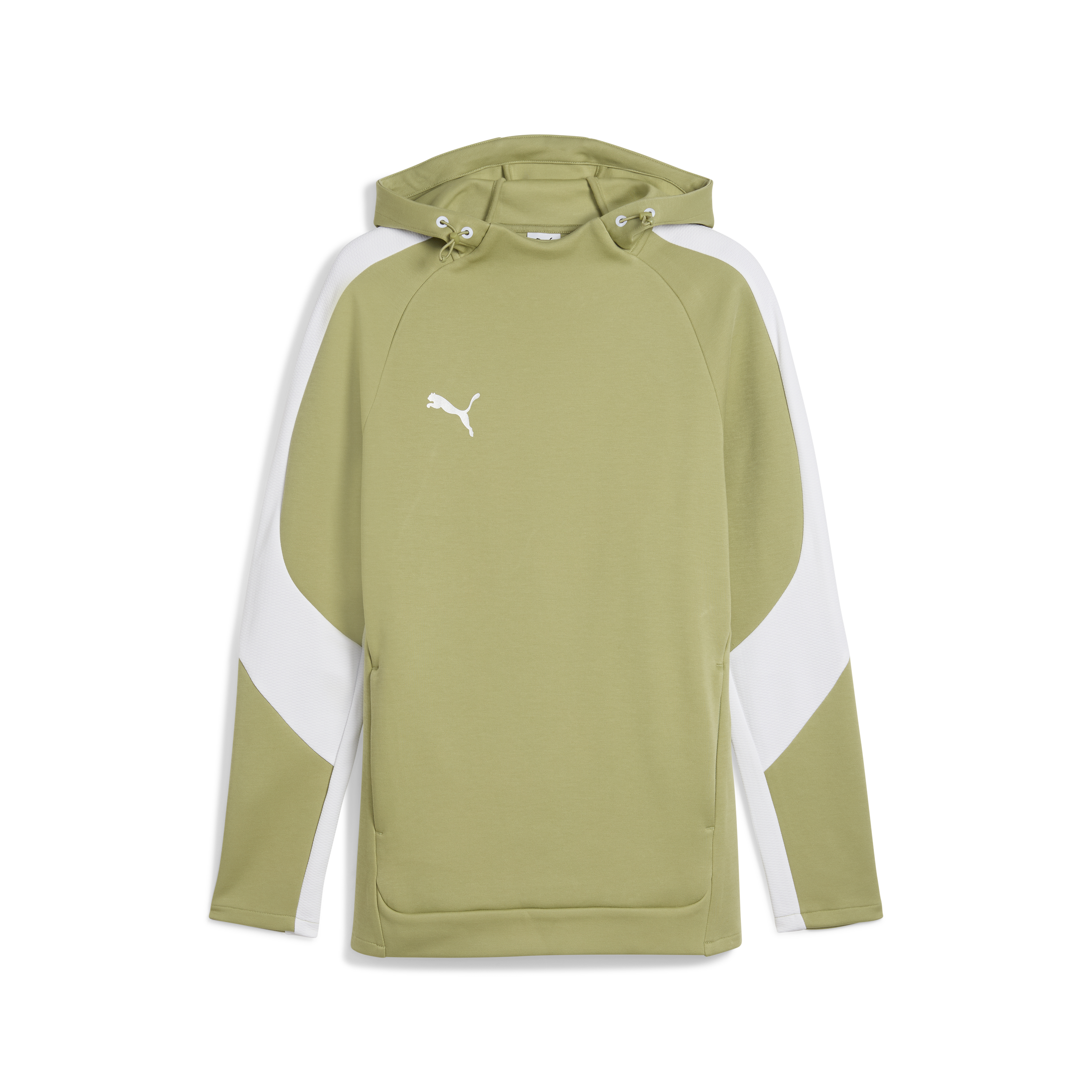 Puma teamEVOSTRIPE Hoody