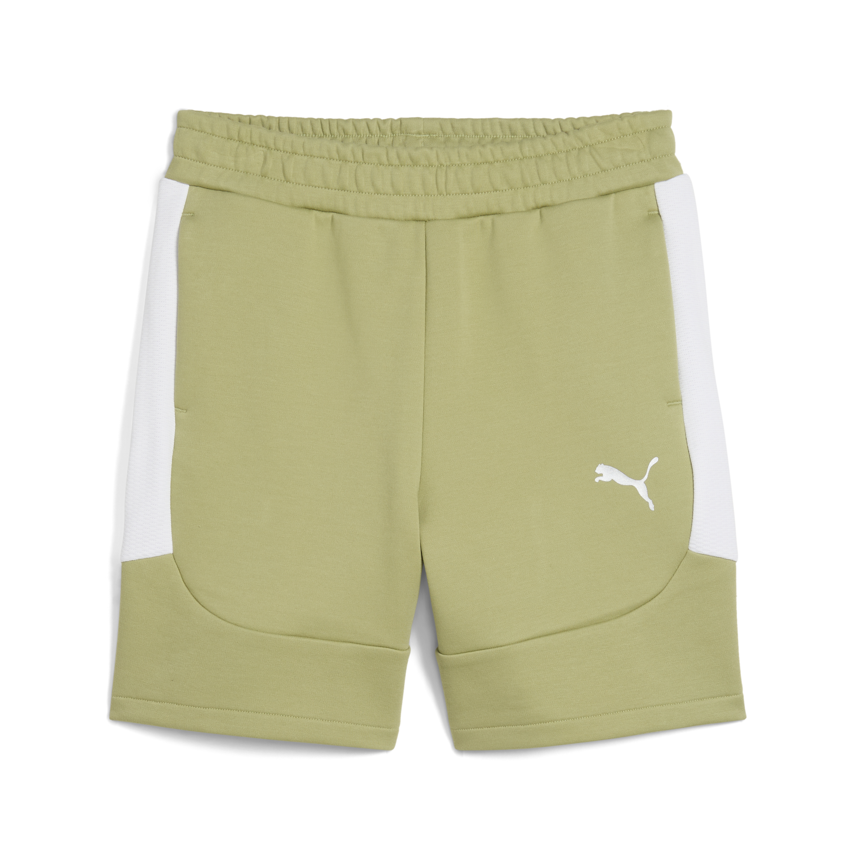 Puma teamEVOSTRIPE Shorts Jr