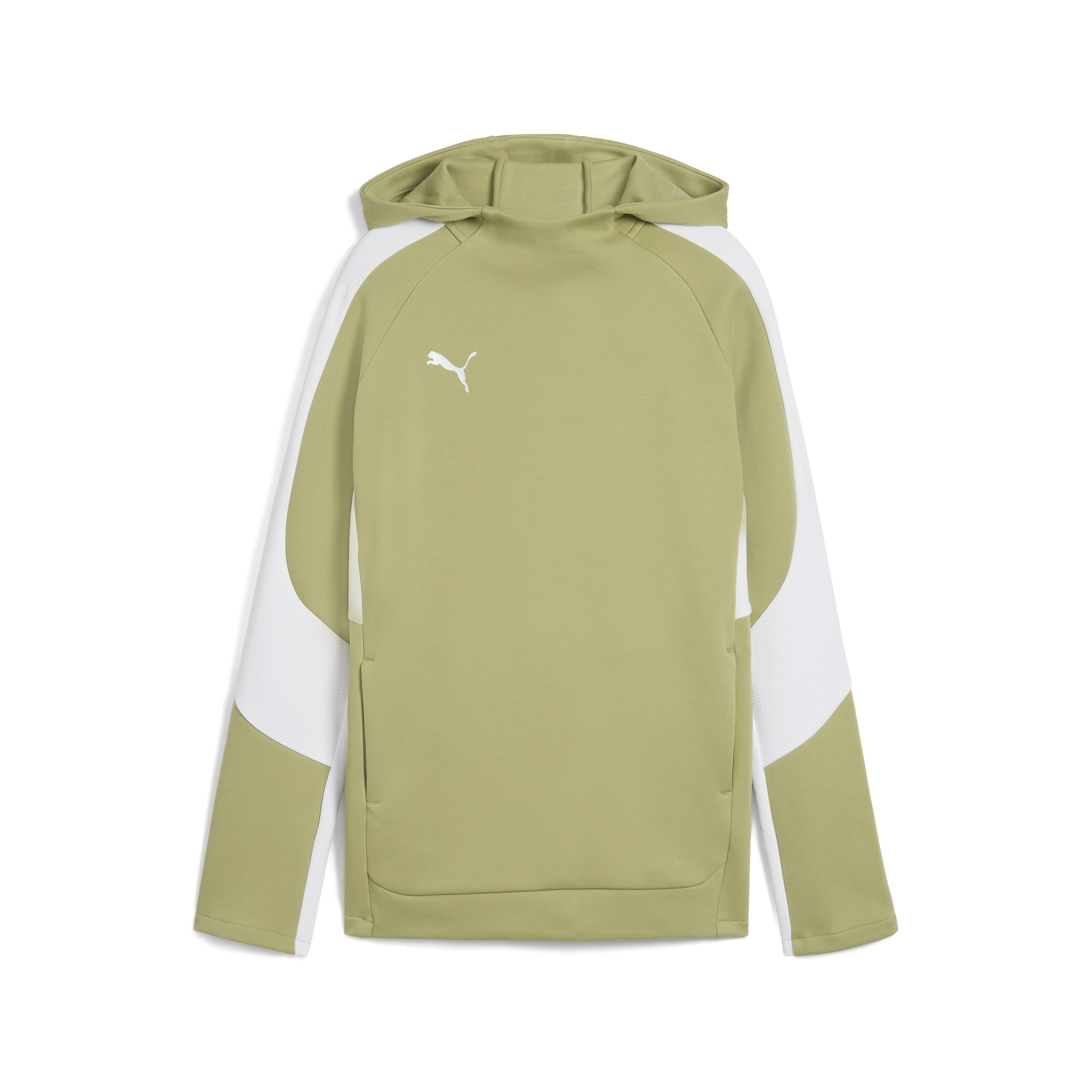 Puma teamEVOSTRIPE Hoody Jr
