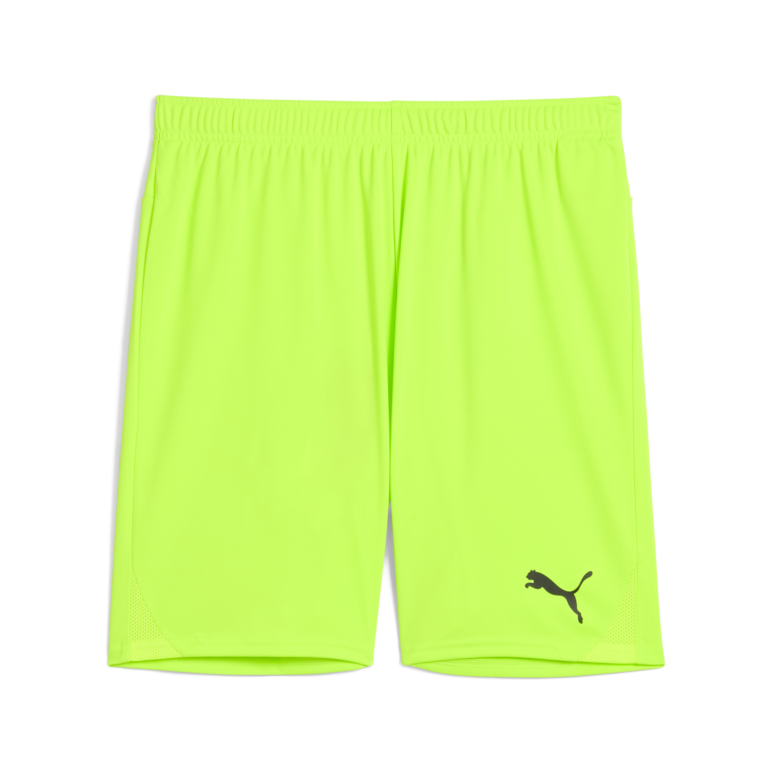 Puma teamGOAL Shorts