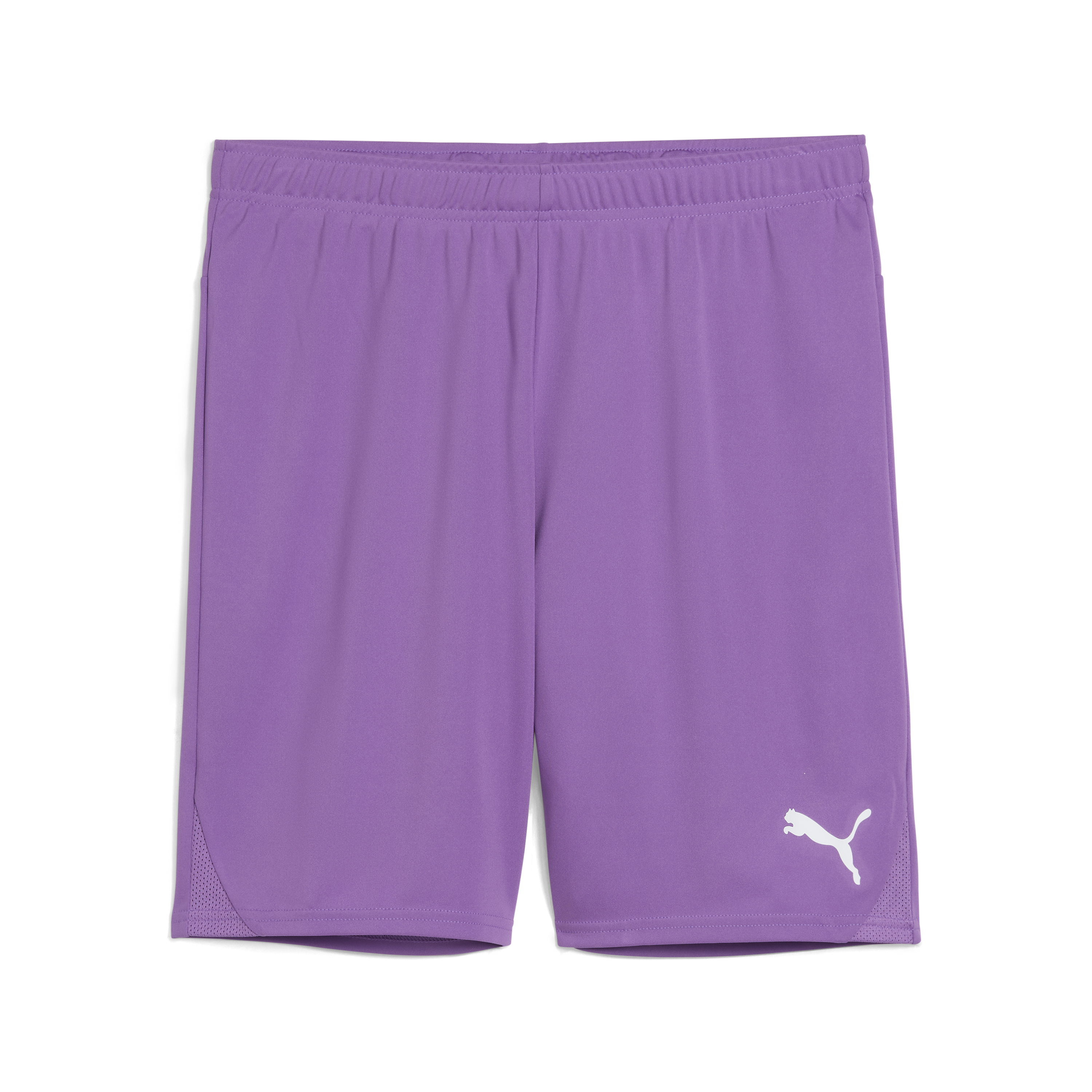 Puma teamGOAL Shorts