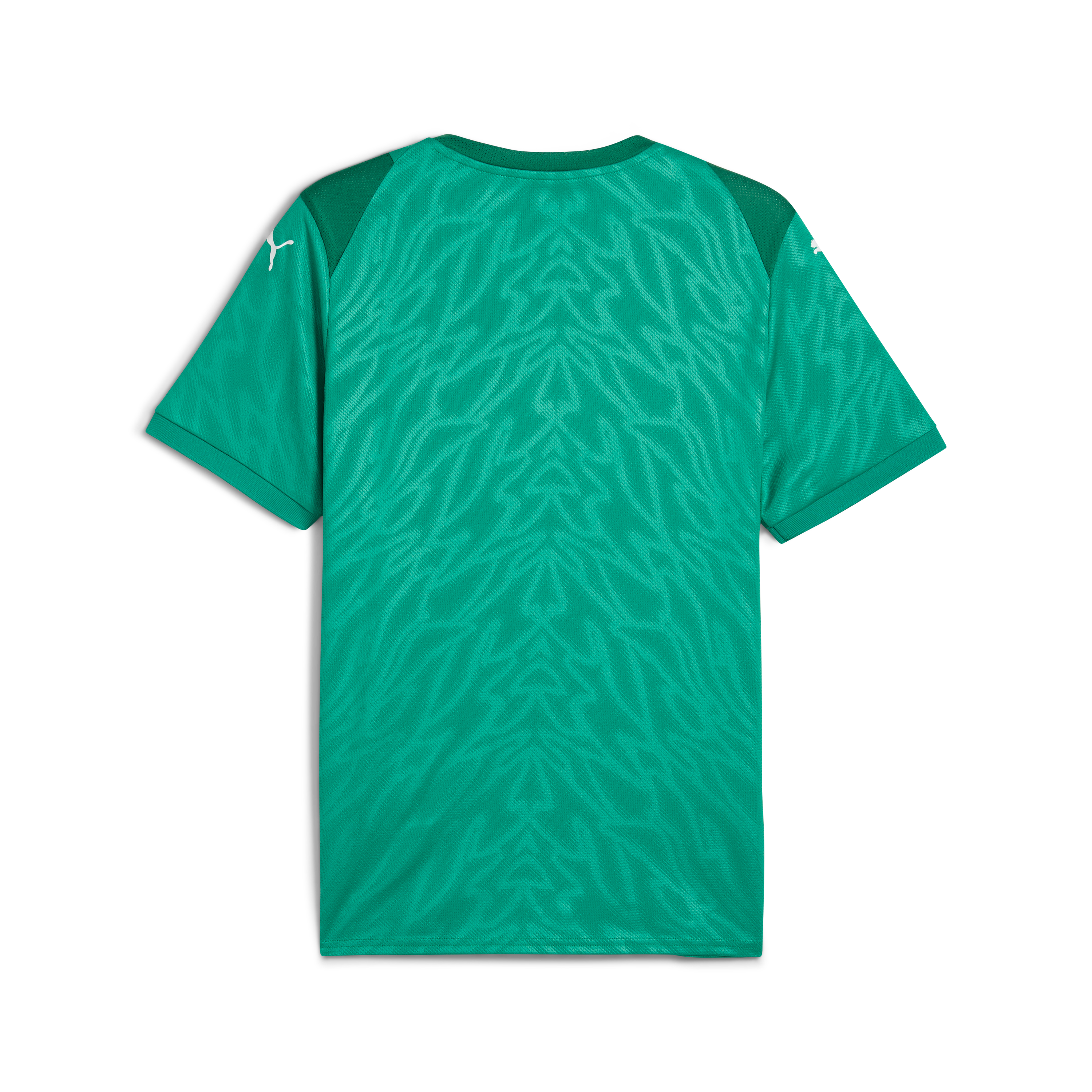Puma teamCUP Training Jersey Jr