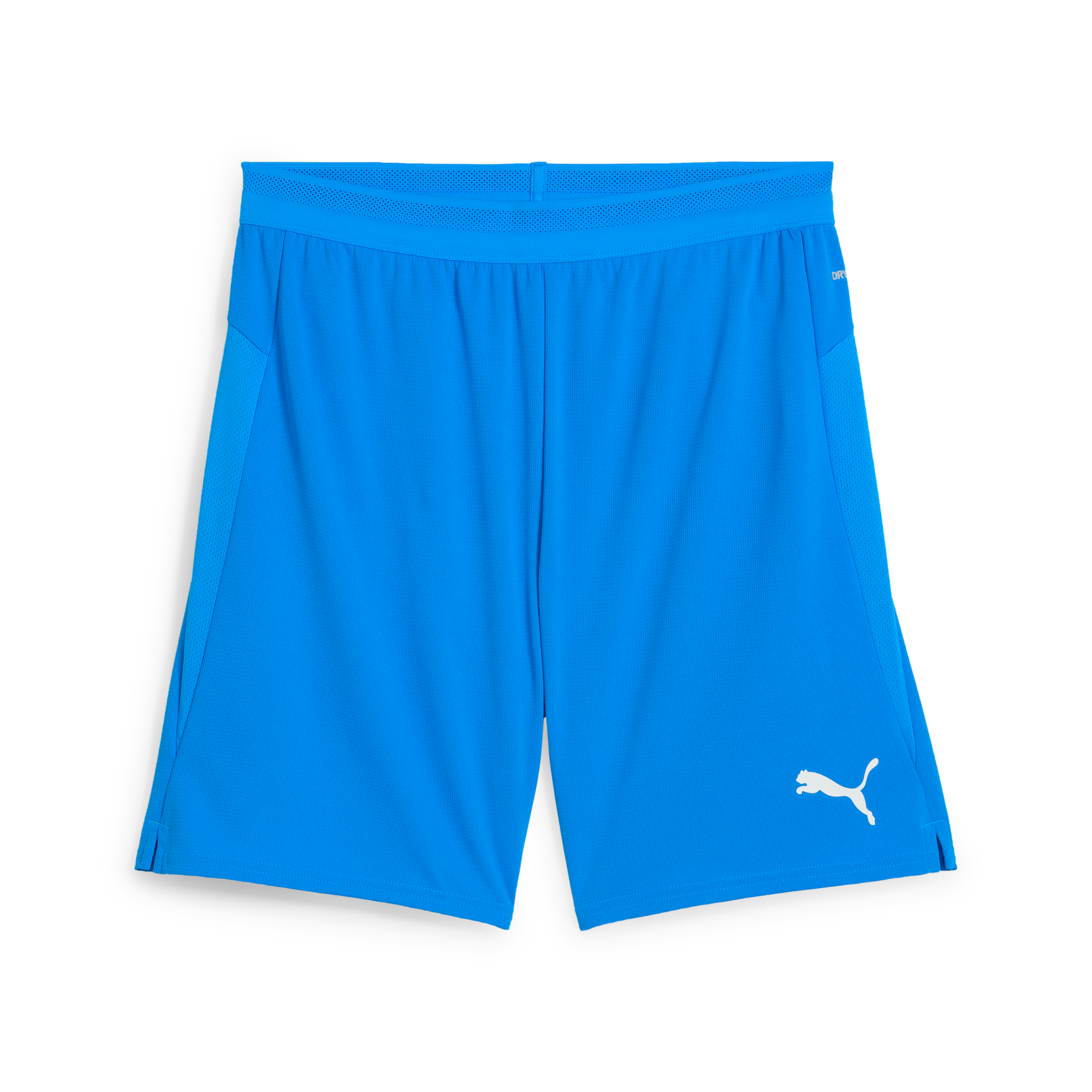 Puma teamCUP Shorts