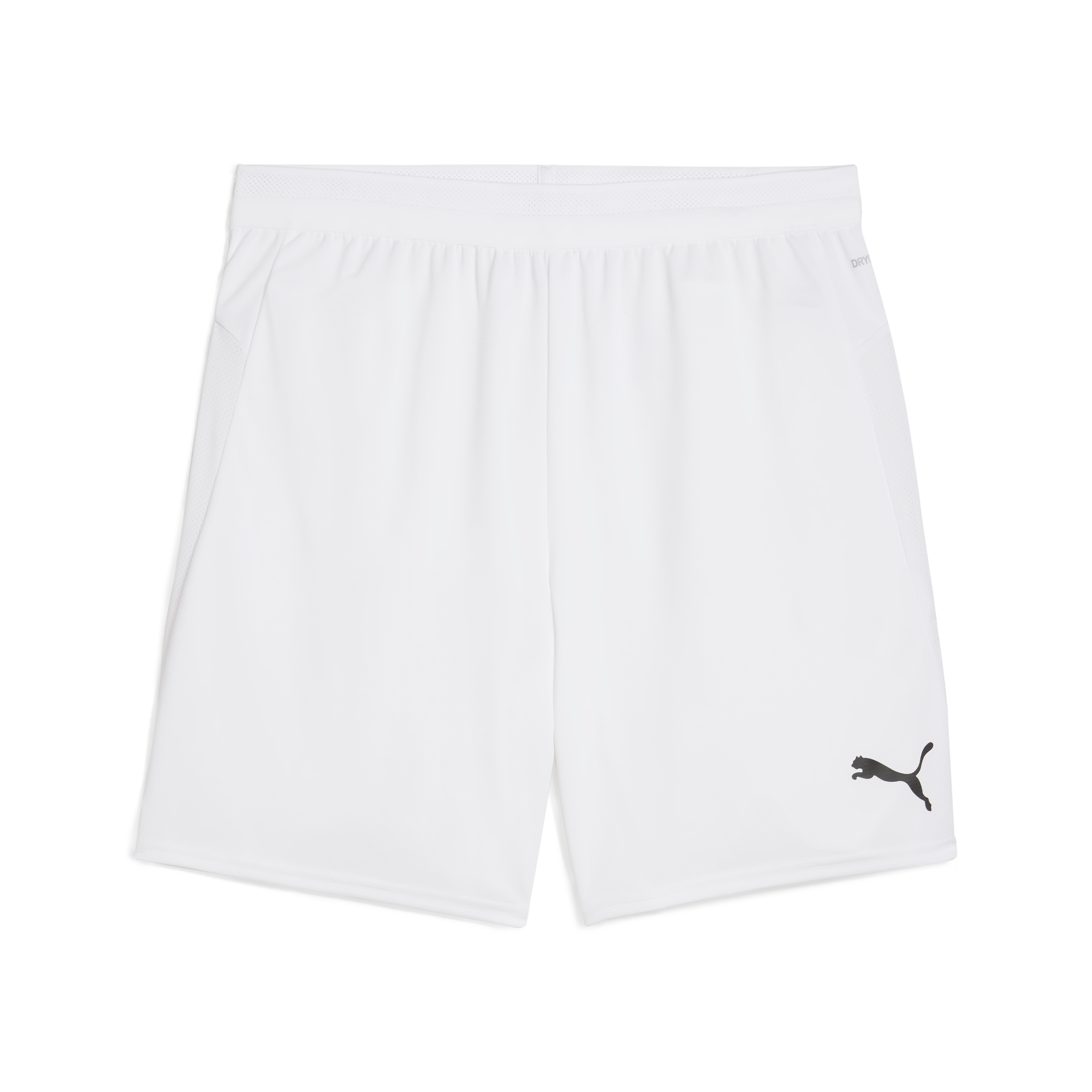 Puma teamCUP Shorts